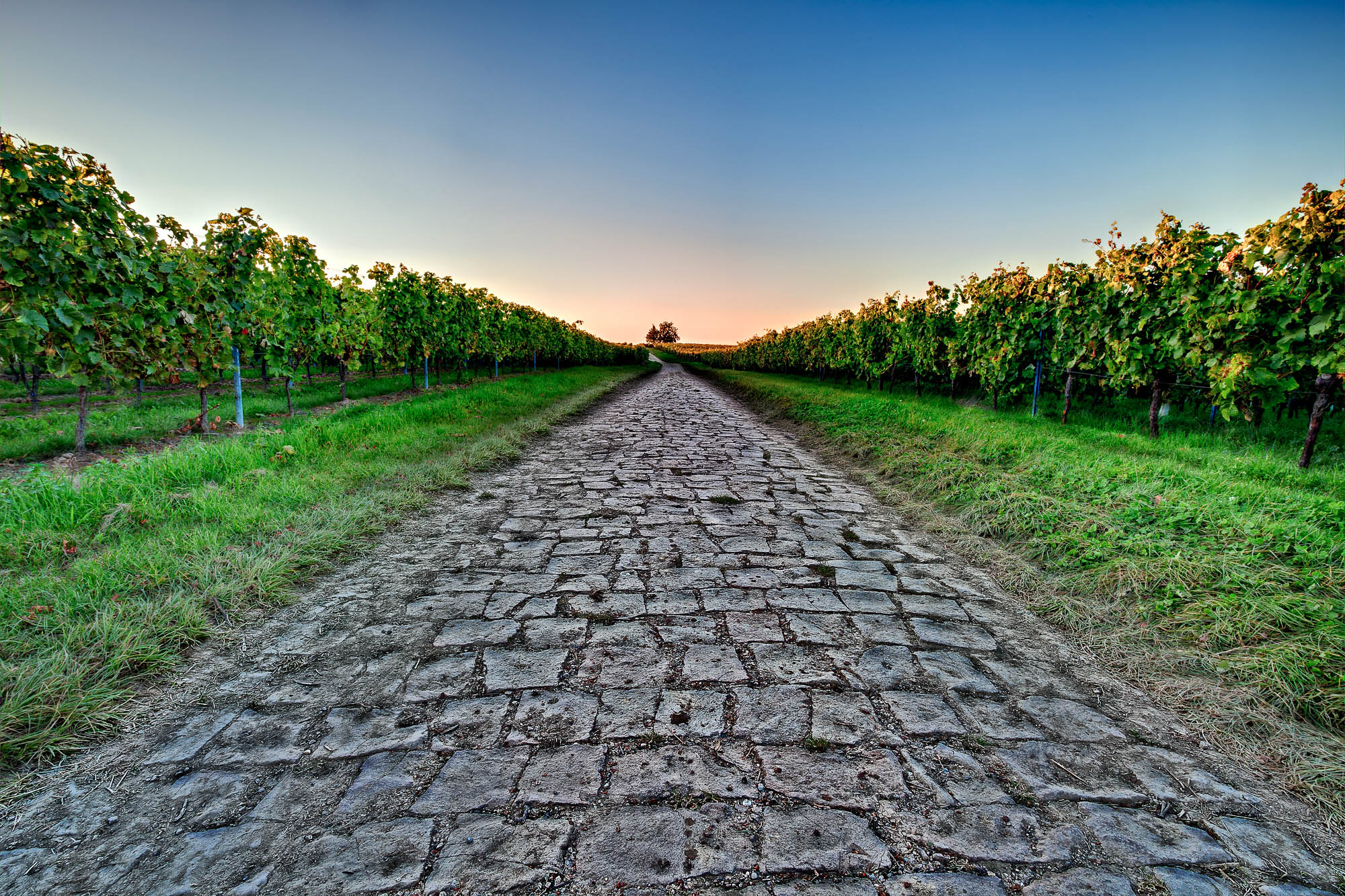  MG 3490 98 HDR SharpA2