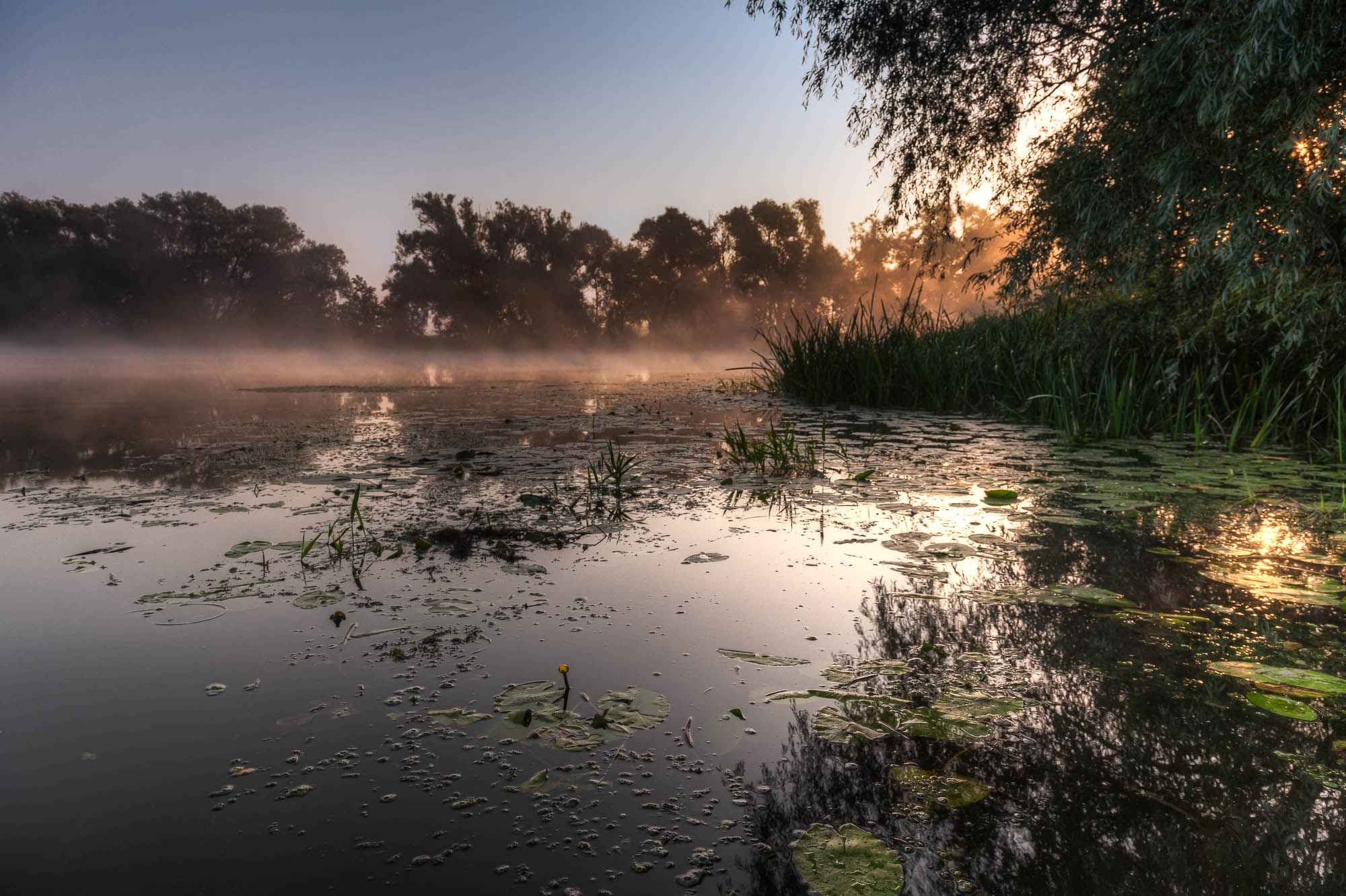 Deutschland - Germany