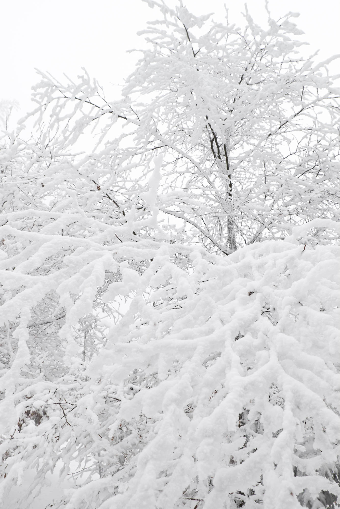 Feldberg Taunus im Winter