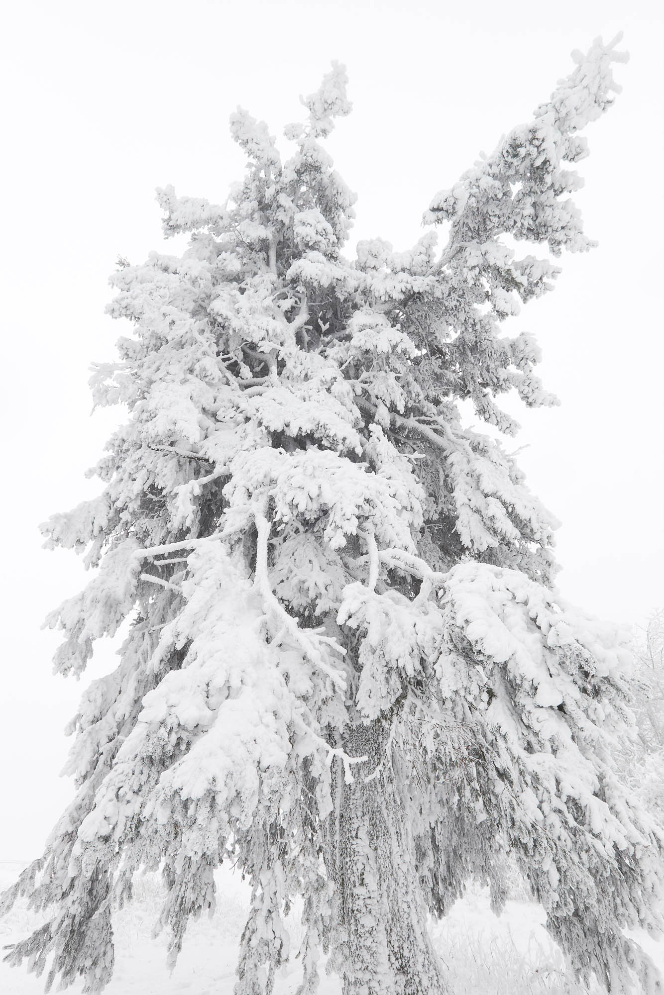 Feldberg Taunus im Winter