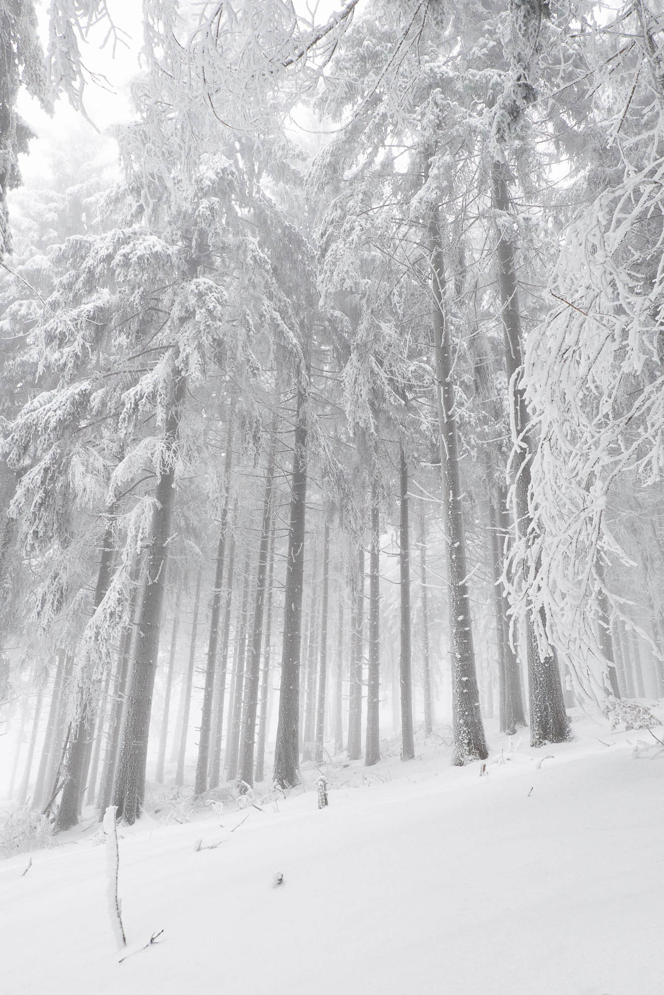 Feldberg Taunus im Winter
