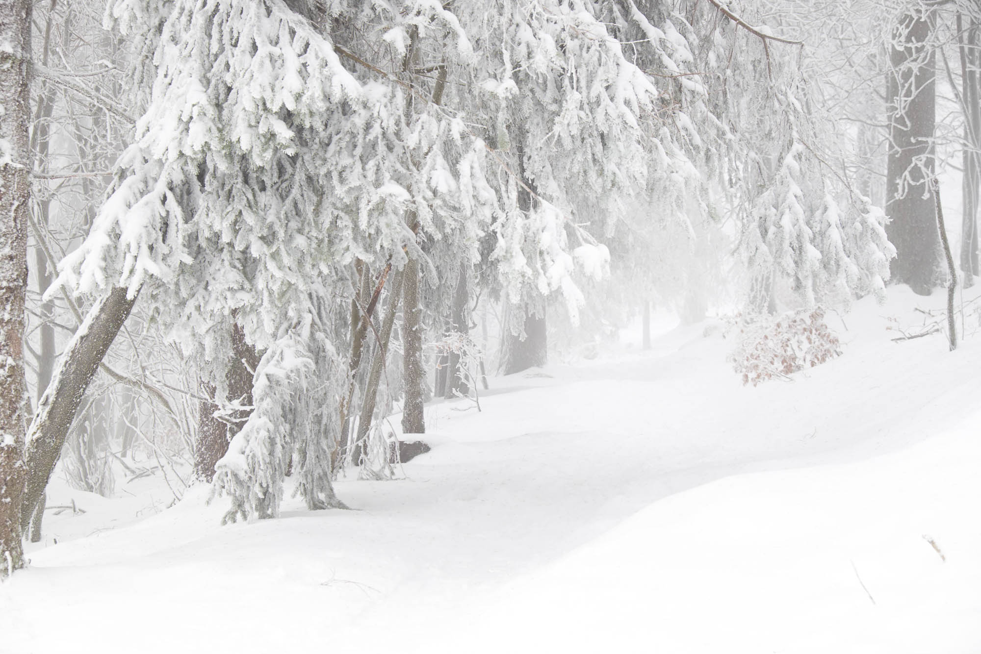 Feldberg Taunus im Winter