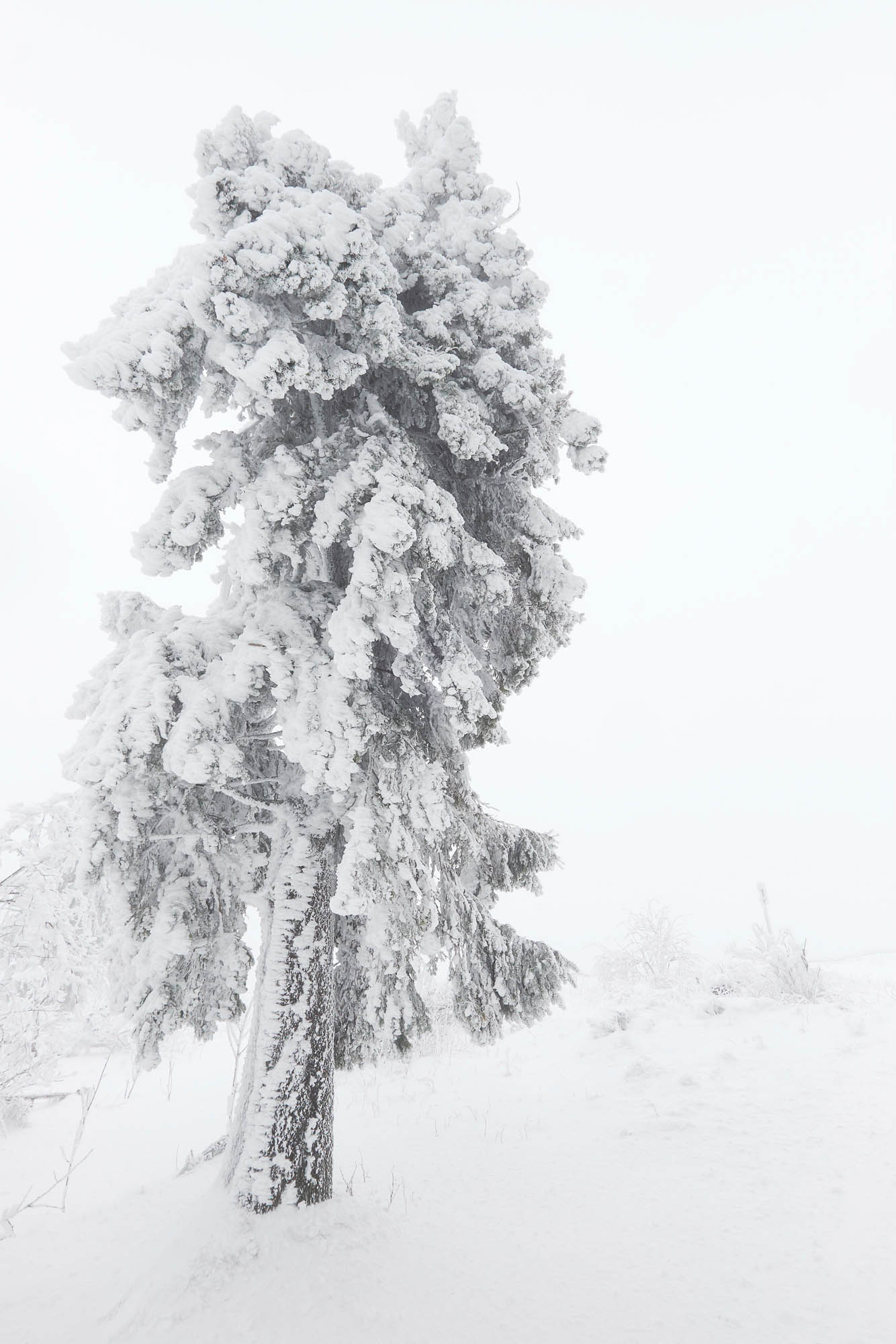 Feldberg Taunus im Winter