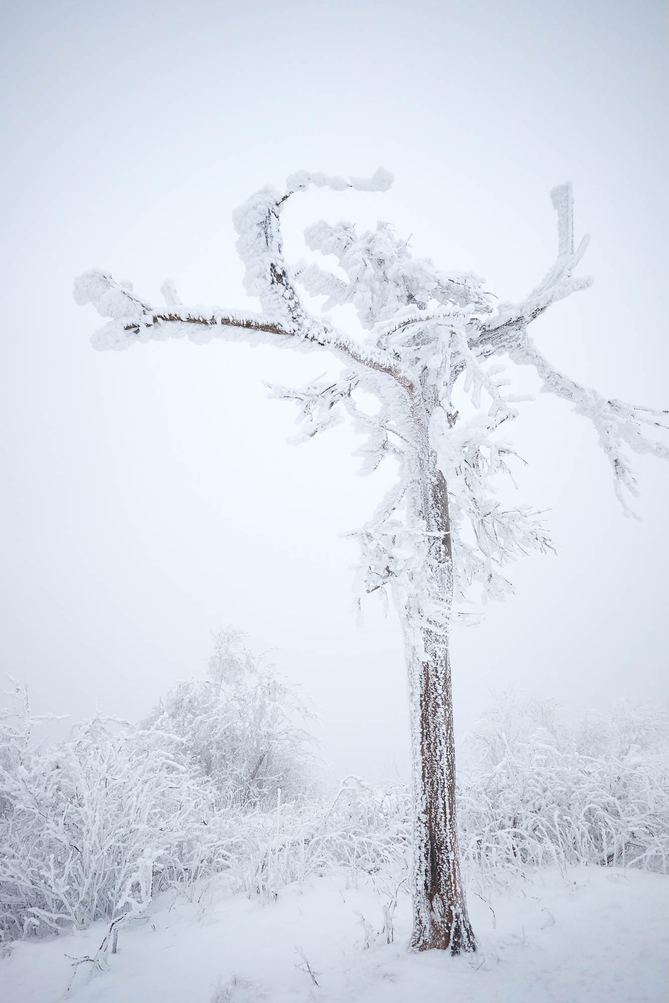 Feldberg Taunus im Winter