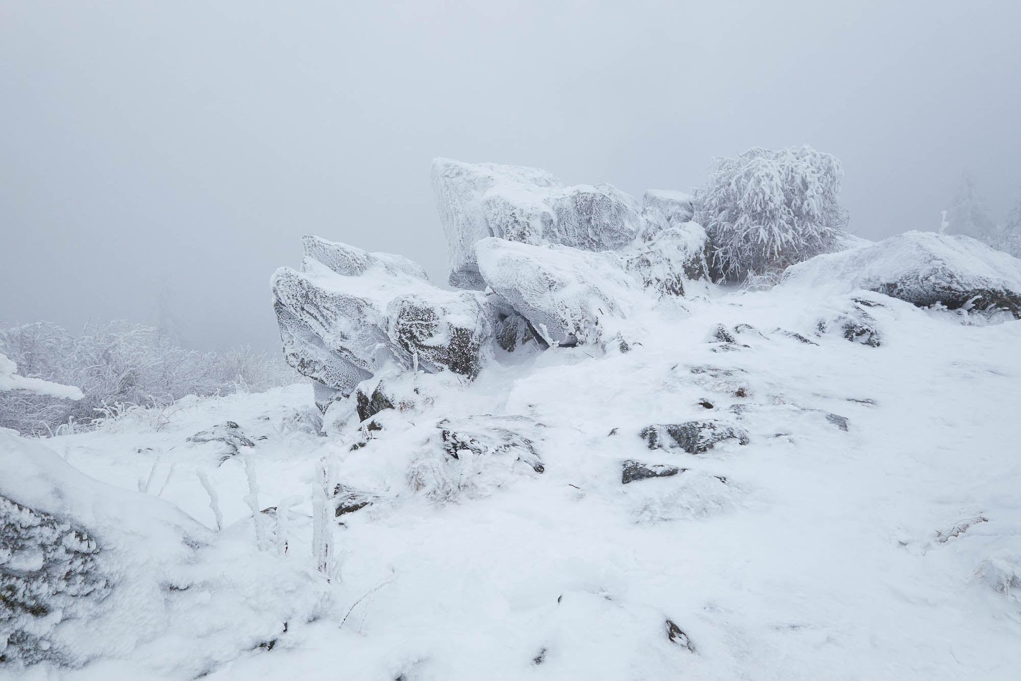 Deutschland - Feldberg Taunus im Winter
