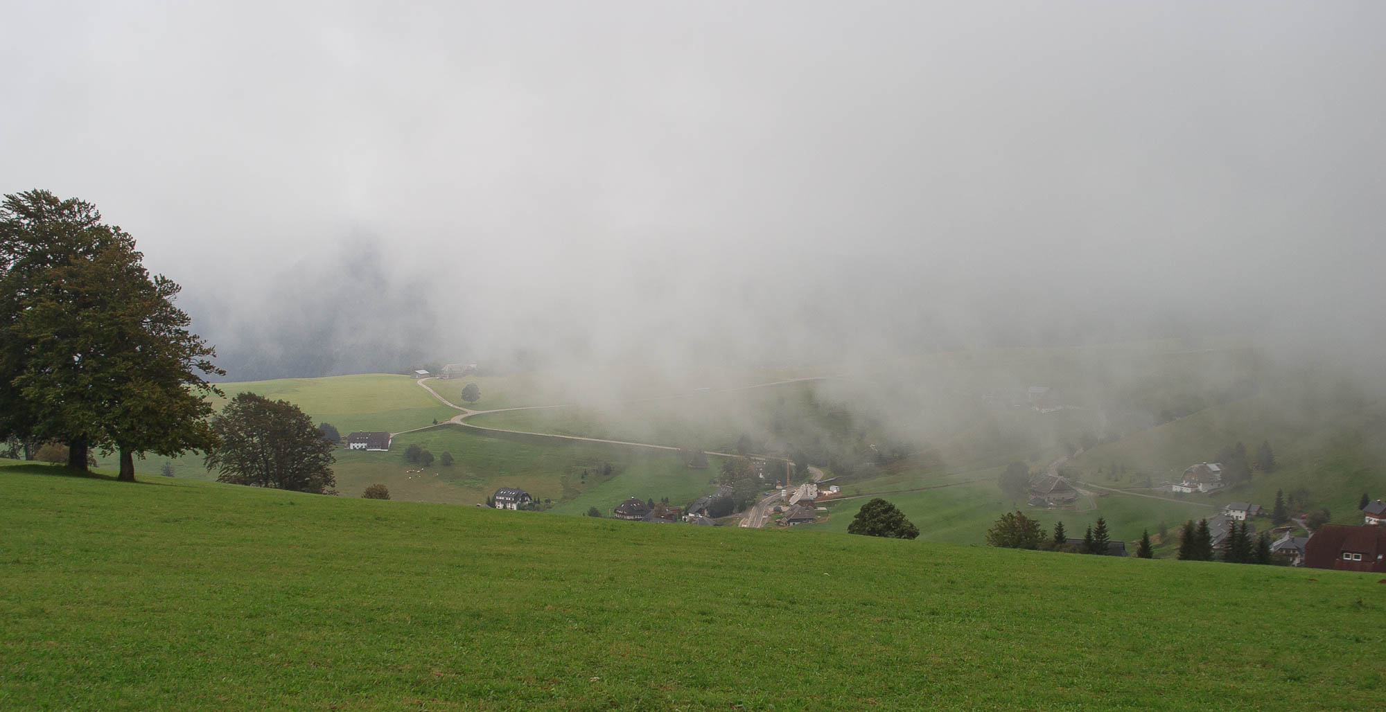 Deutschland - Schwarzwald / Germany - Black Forrest