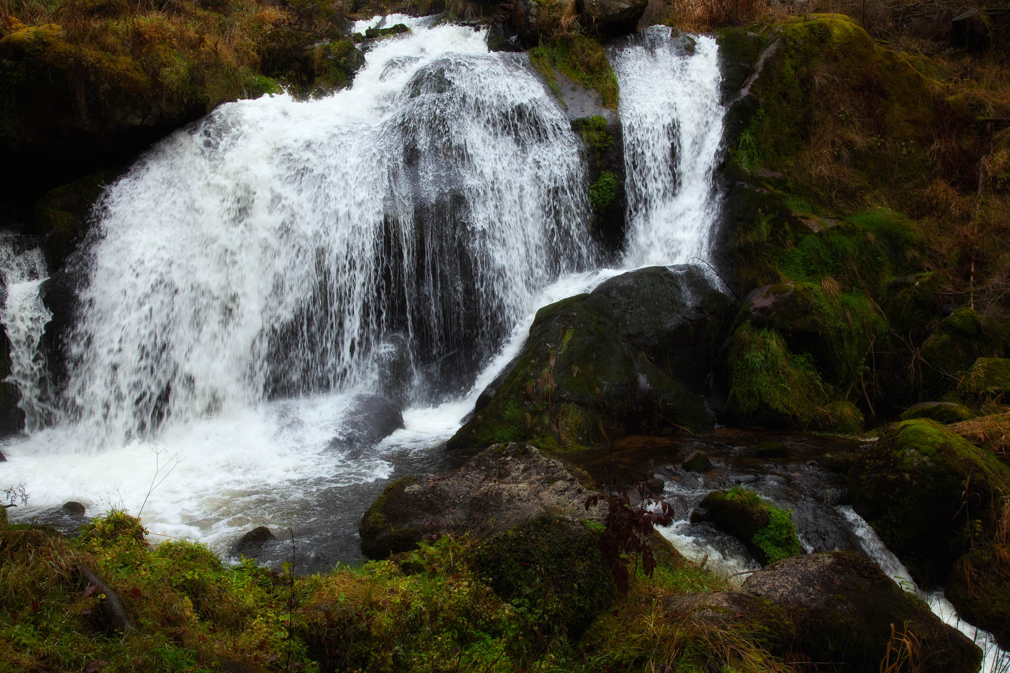 Deutschland - Schwarzwald / Germany - Black Forrest