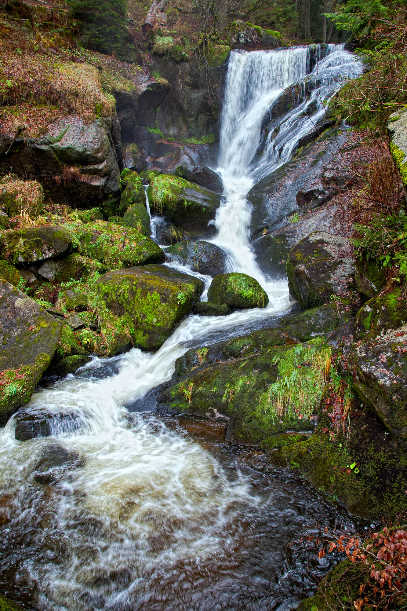 Deutschland - Schwarzwald / Germany - Black Forrest
