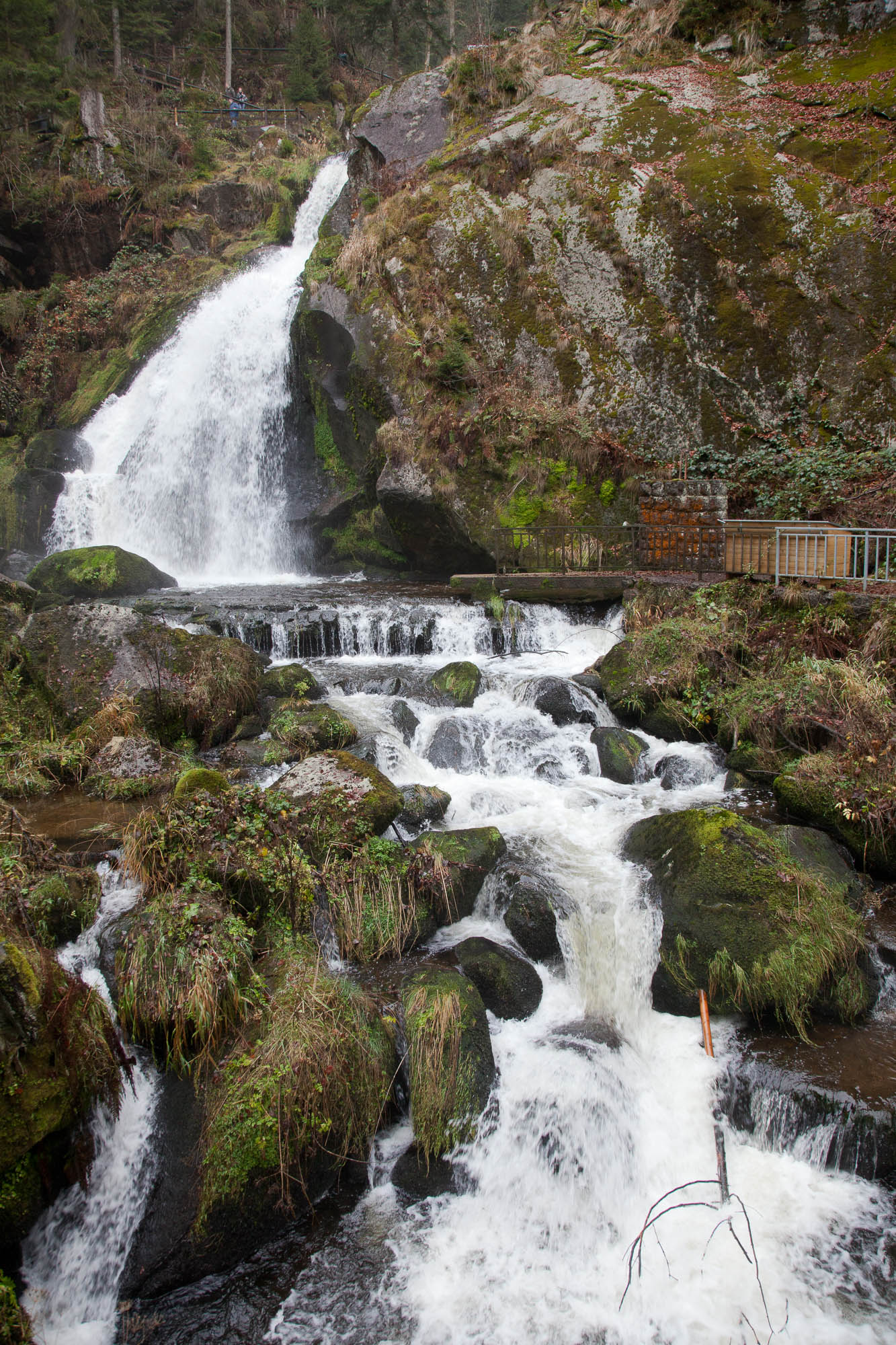 Deutschland - Schwarzwald / Germany - Black Forrest