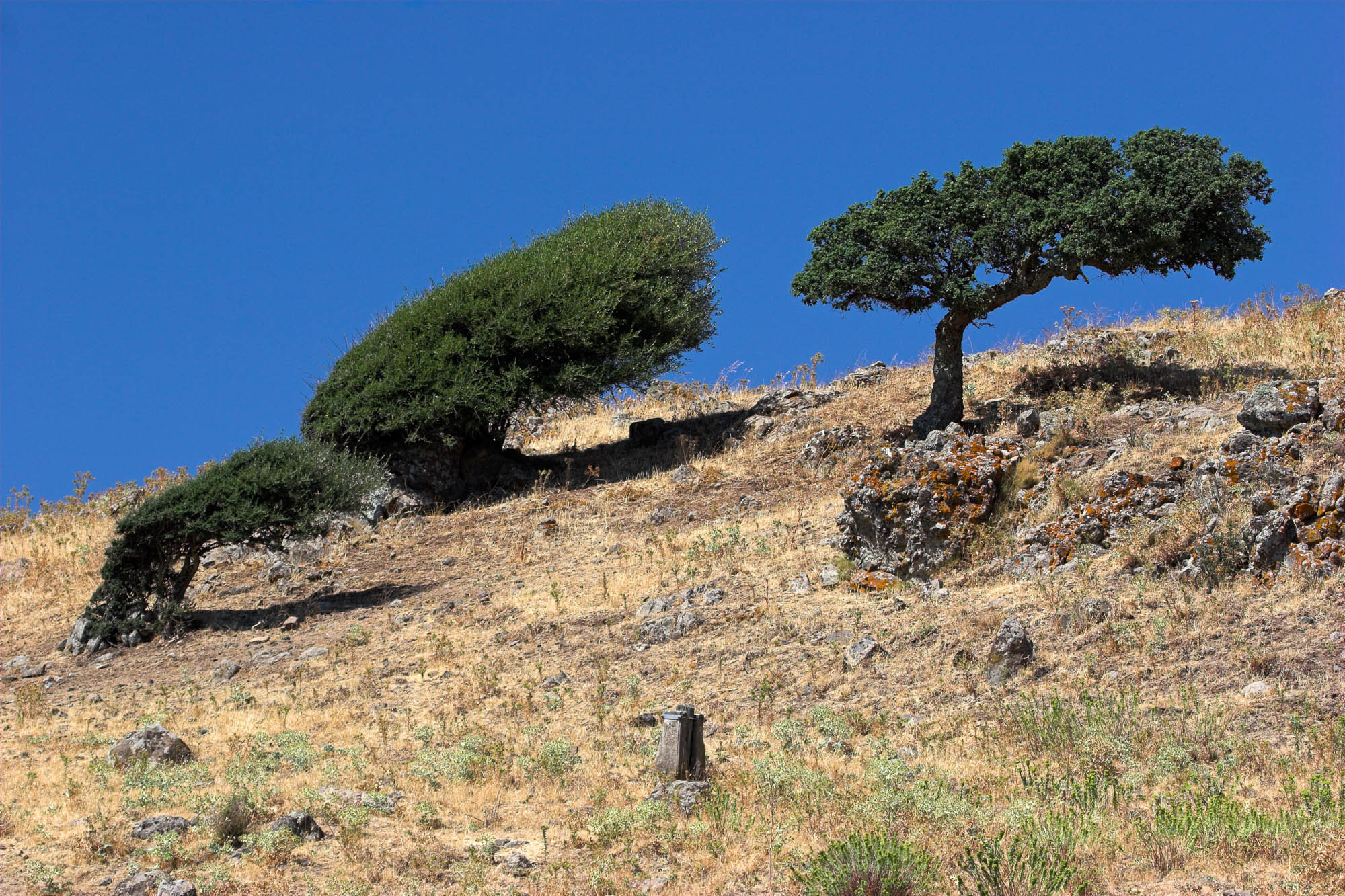 Italien - Sardinien