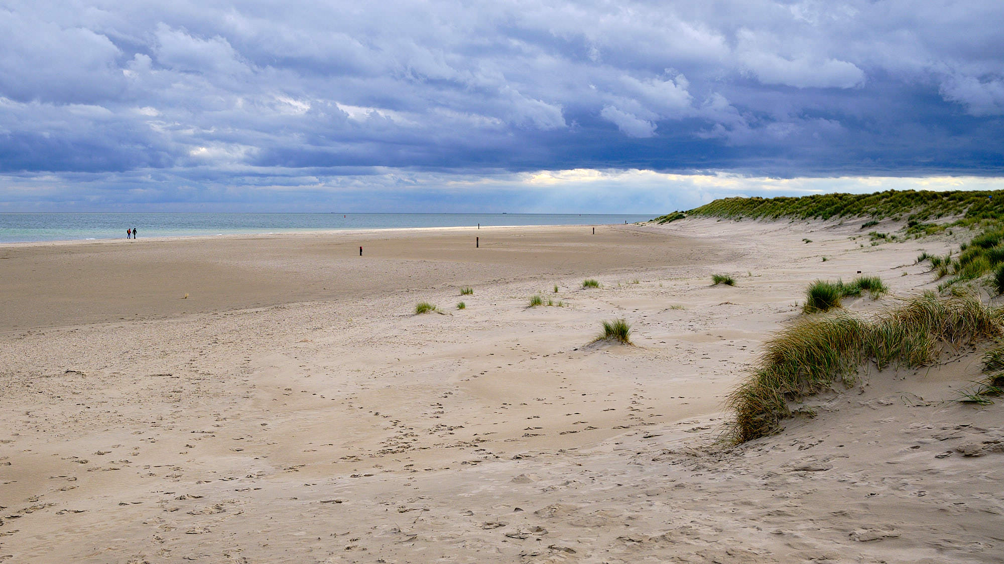 Niederlande - Texel / Netherlands - Texel