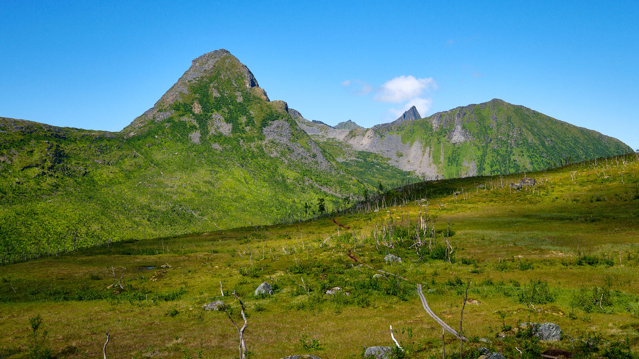 Senja - Norwegen - Norway