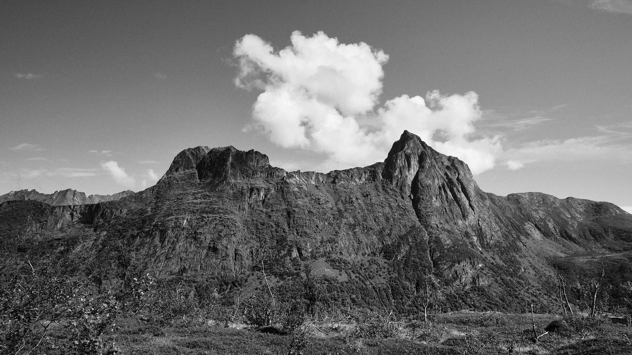 Senja - Norwegen - Norway