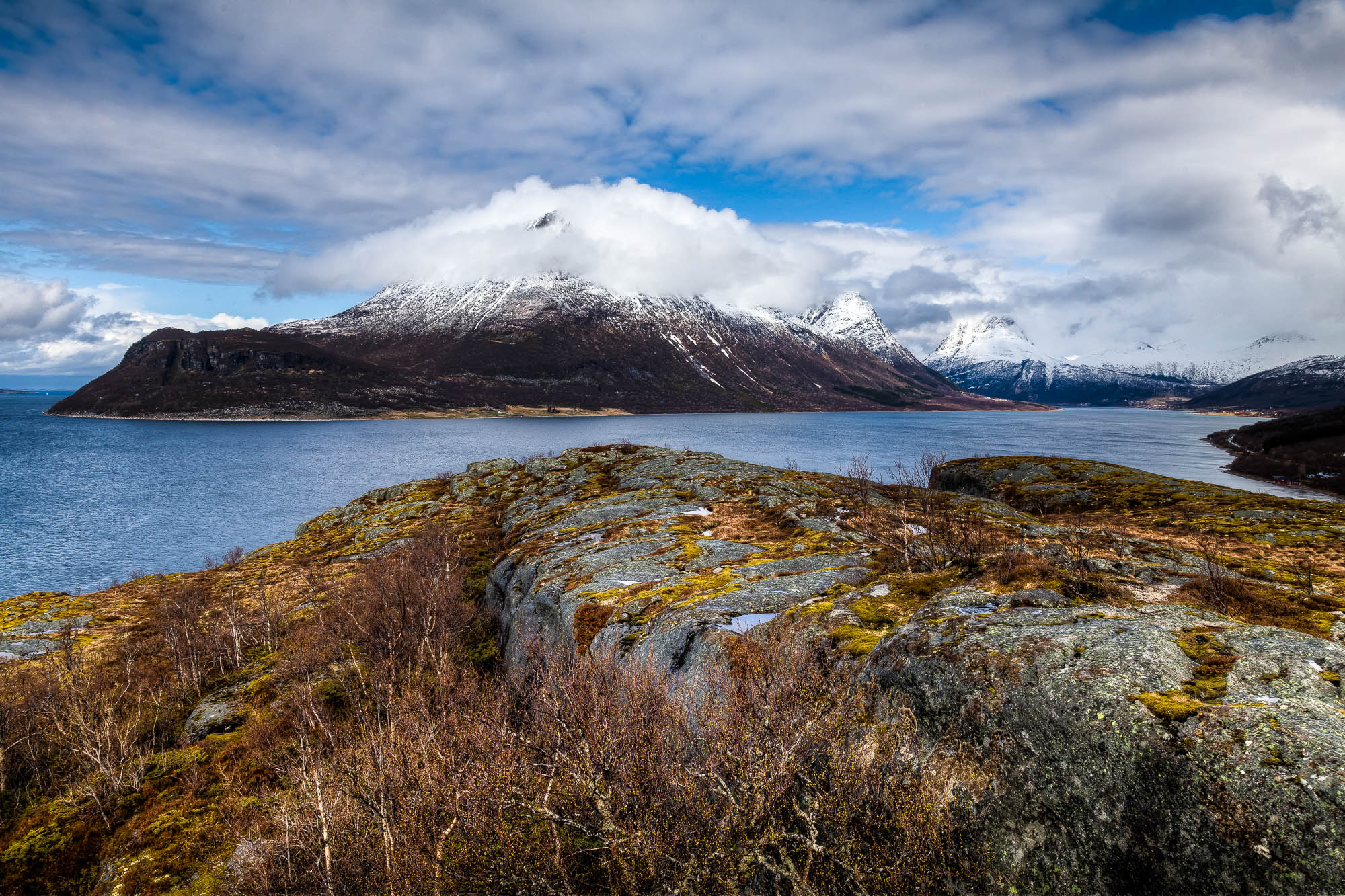 Kobbvika, Lurøy