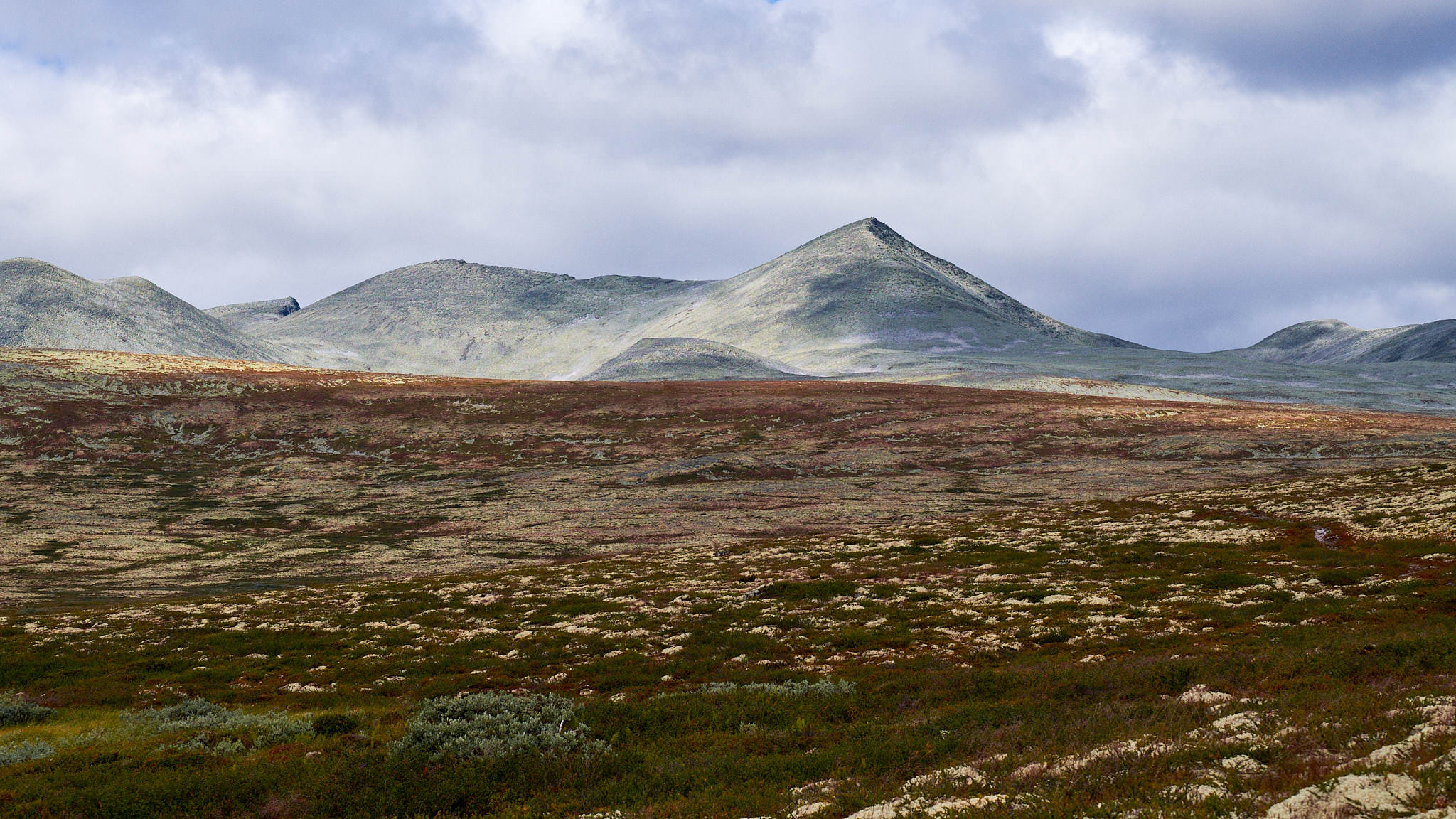 Rondane Nationalpark - Norwegen - Norway