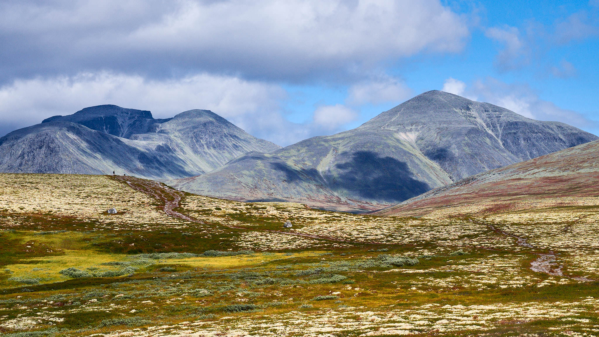 Rondane Nationalpark - Norwegen - Norway