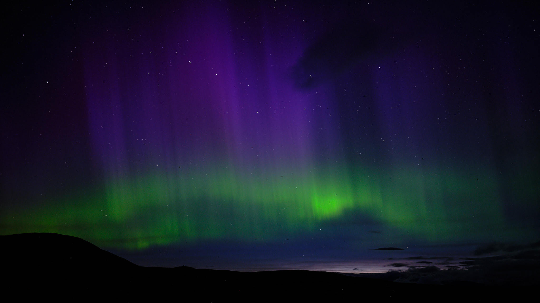 Polarlichter (aurora borealis) - Skarven - Norwegen - Norway