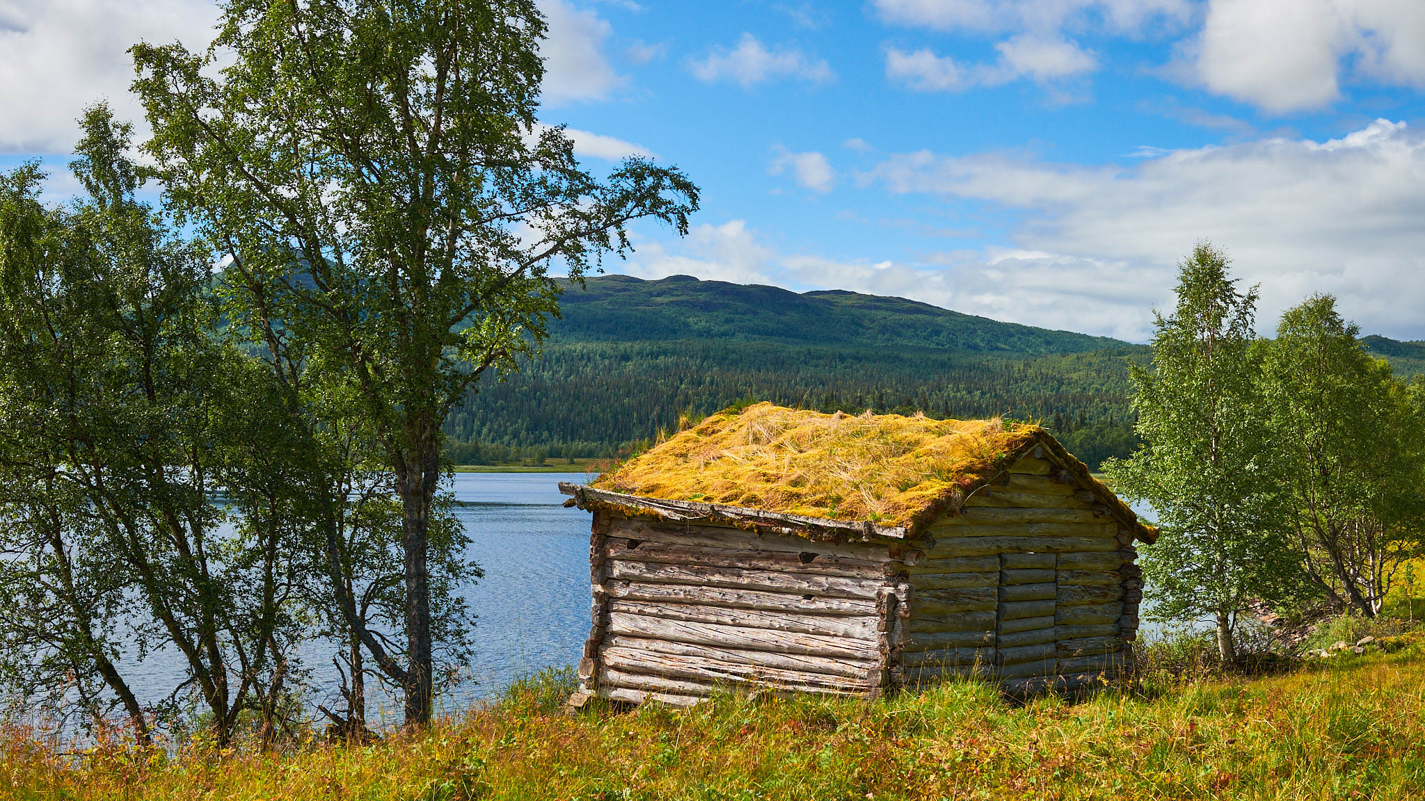 Alte Hütte mit bewachsenem Dach am See - Bjurälvsgrottan - Schweden - Sweden