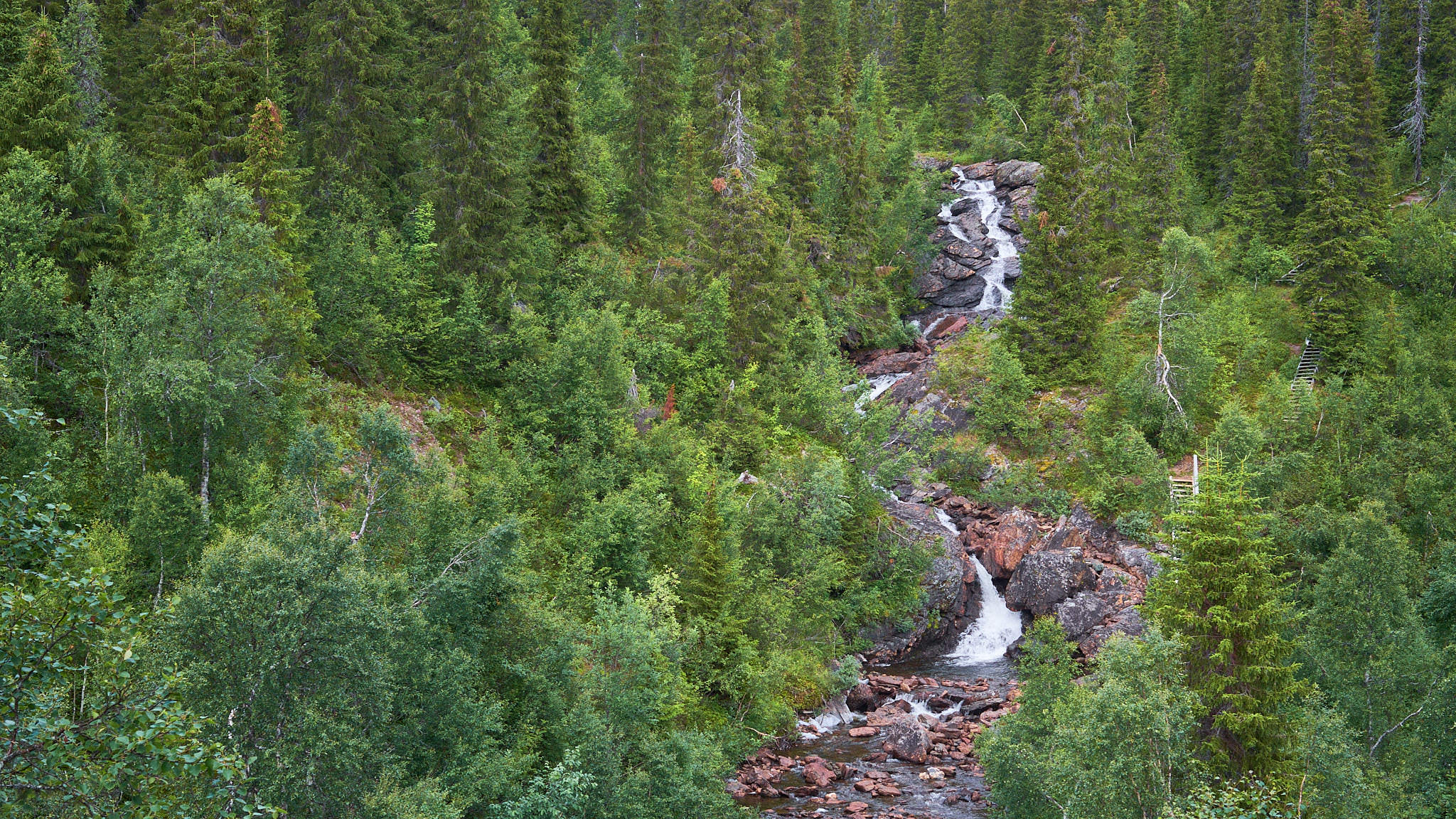 Wasserfall auf dem Weg - Bjurälvsgrottan - Schweden - Sweden