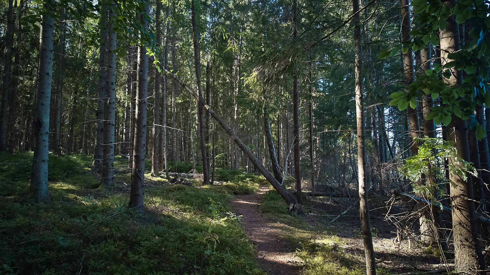 Schweden / Sweden