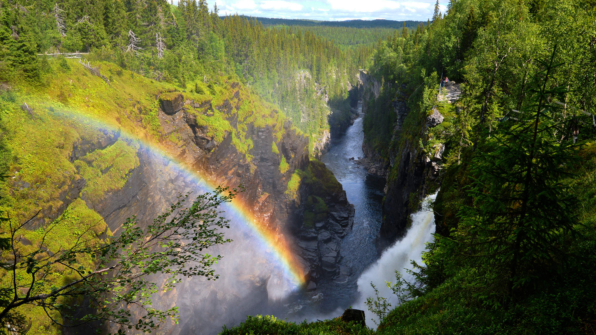 Hällingsåfallet am Vildmarksvägen mit Regenbogen- Schweden - Sweden
