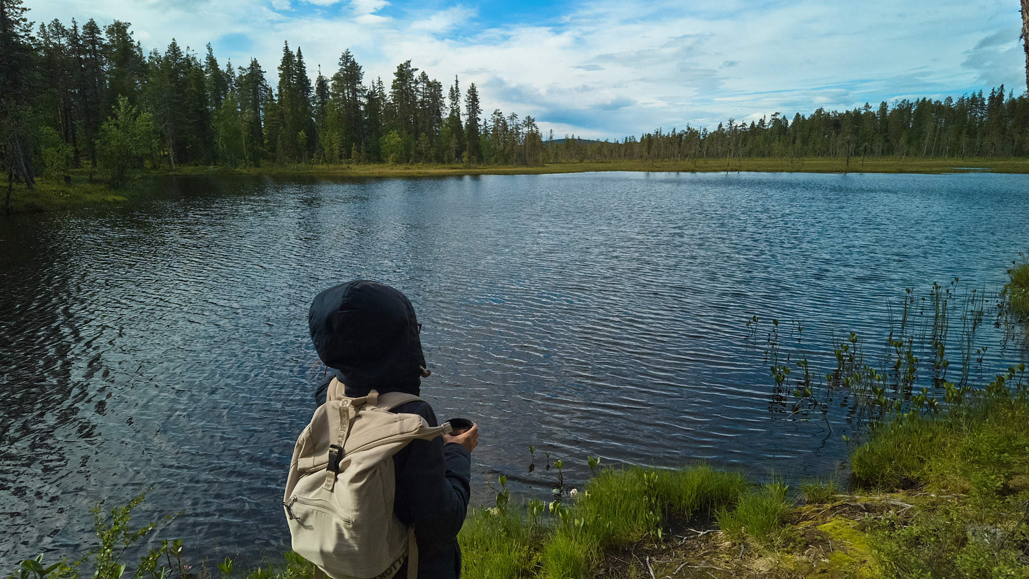 Muddus Nationalpark - Schweden - Sweden