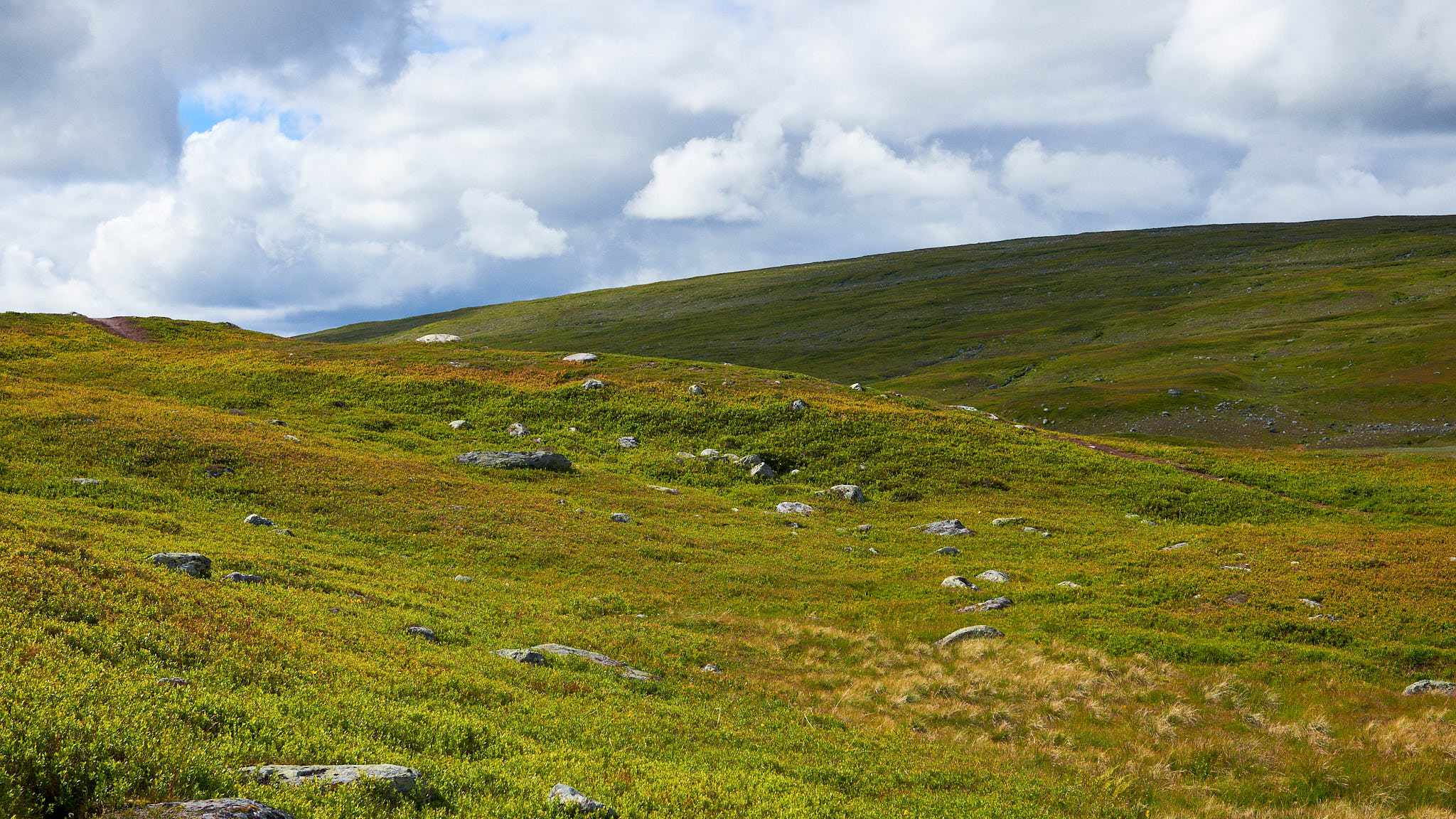 Sanfte Hügel auf dem Stekkenjokk Plateau - Schweden Sweden