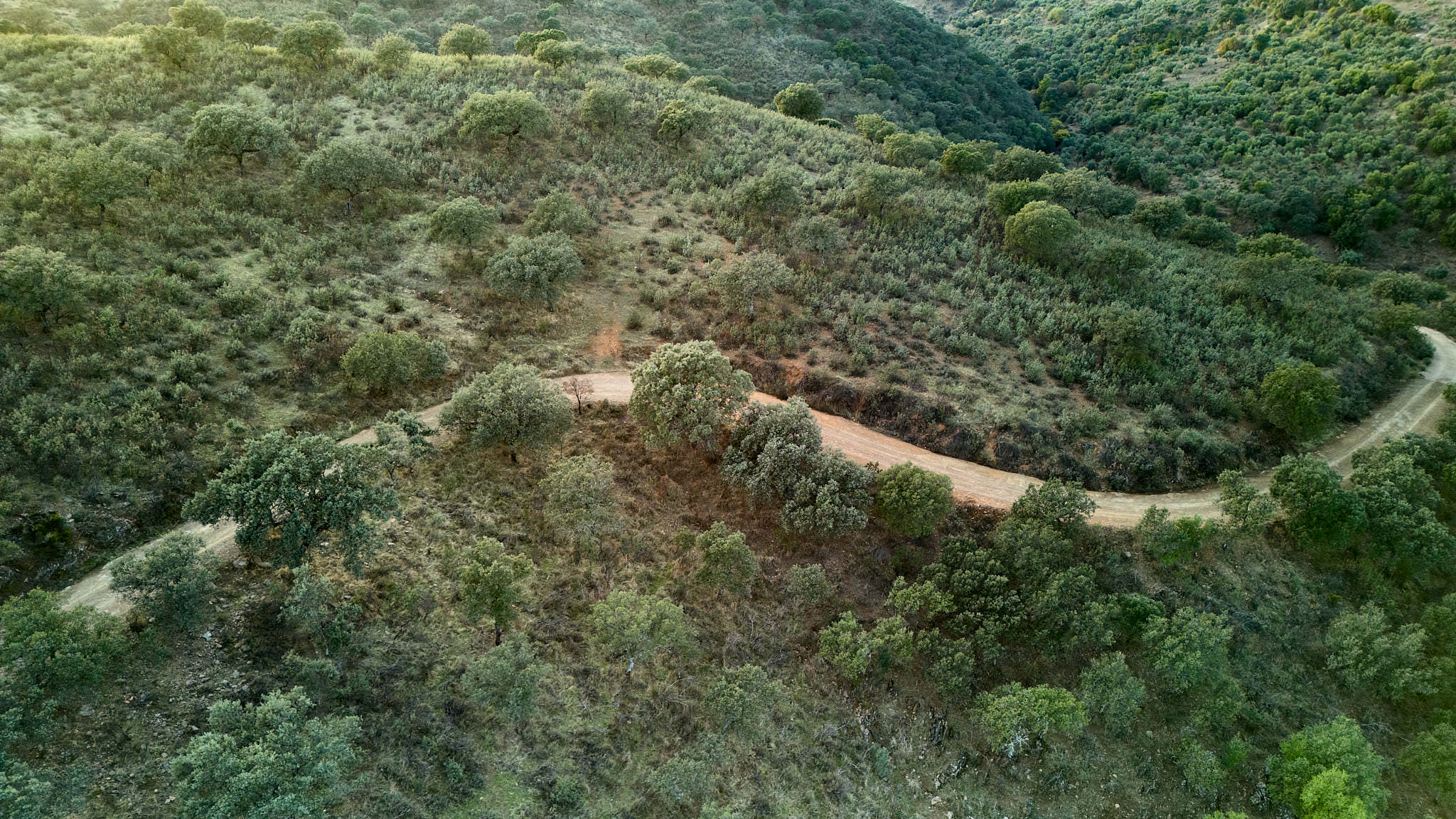 Extremadura