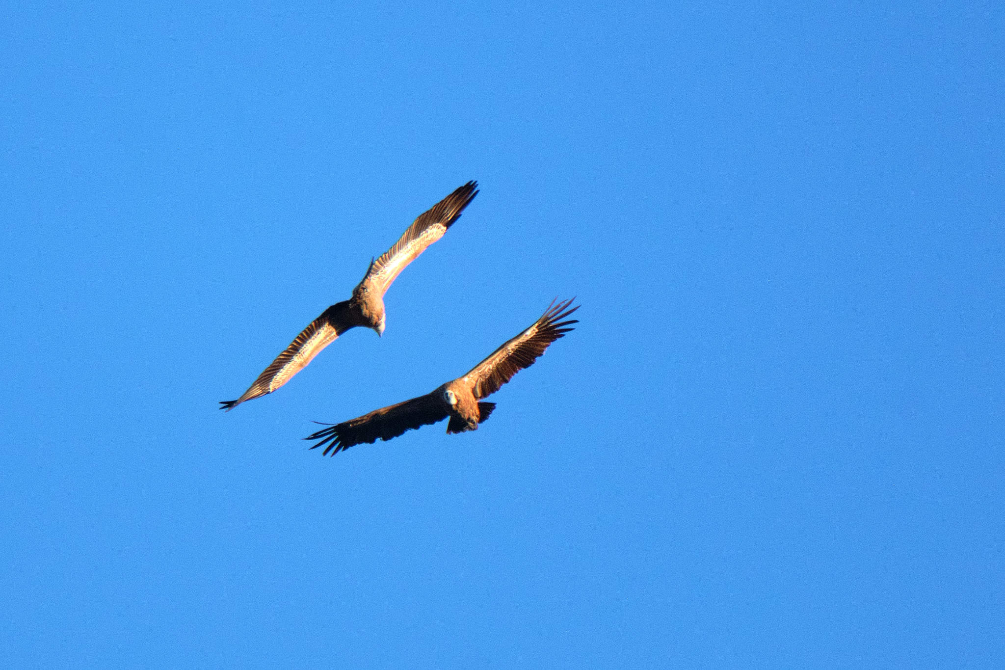 Extremadura