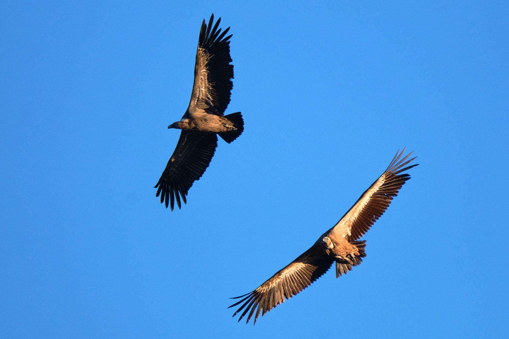 Extremadura