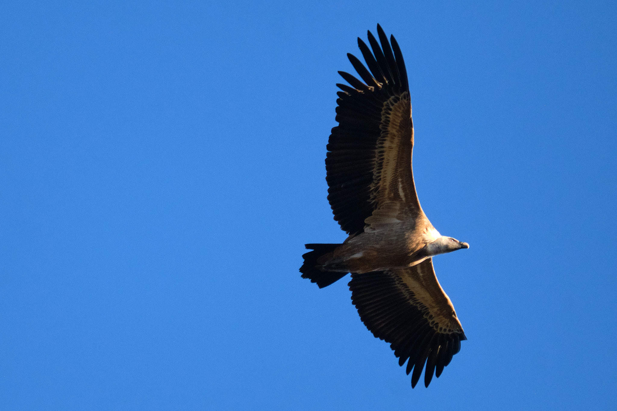 Extremadura