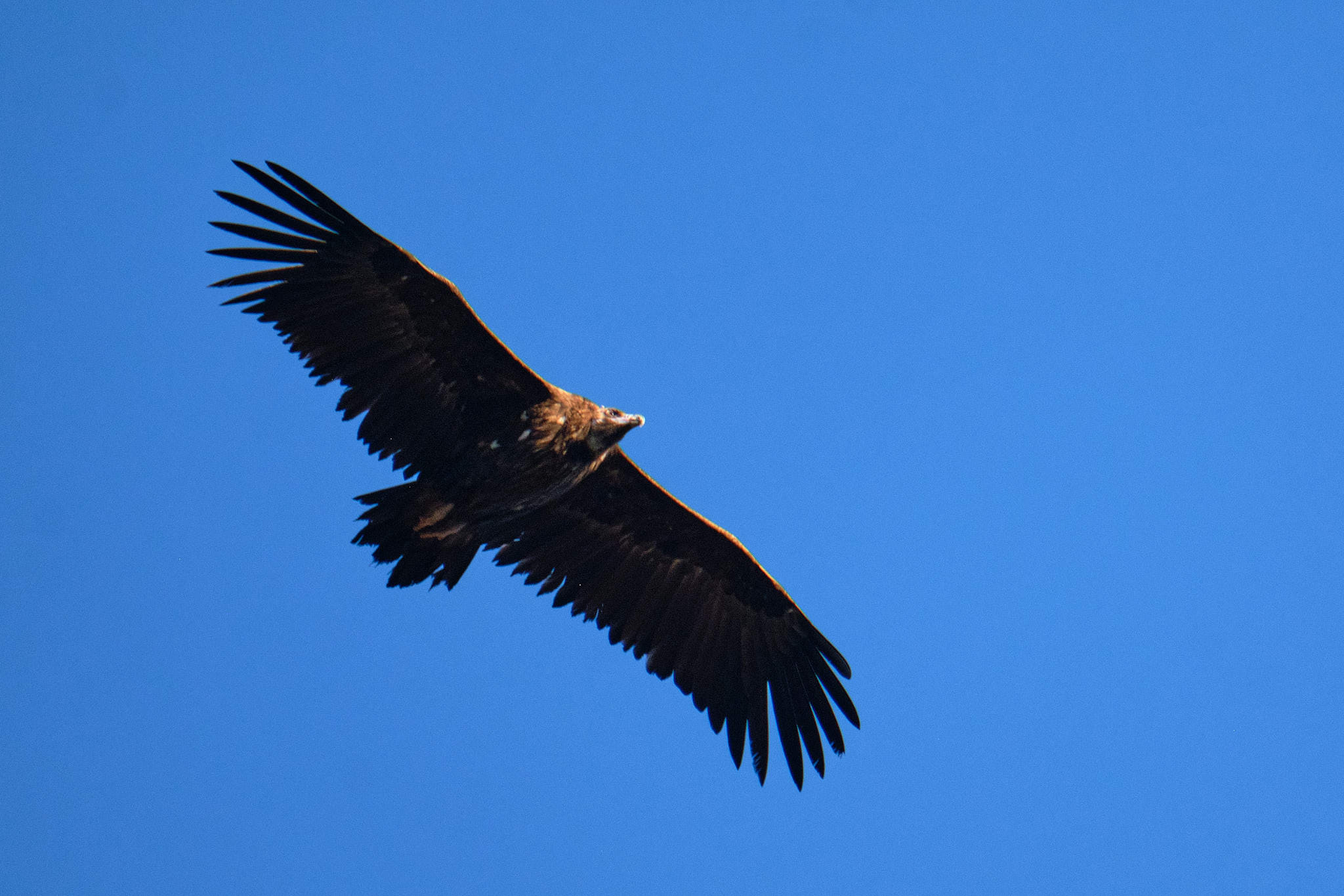 Extremadura