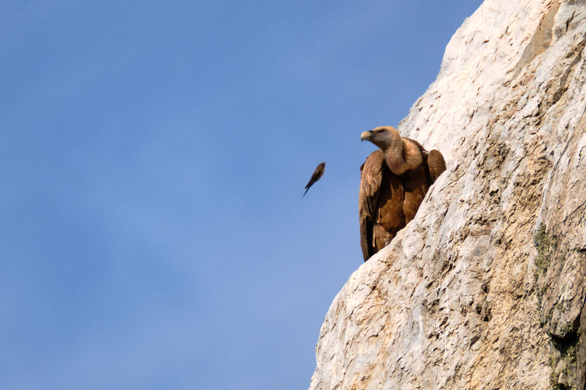 Extremadura