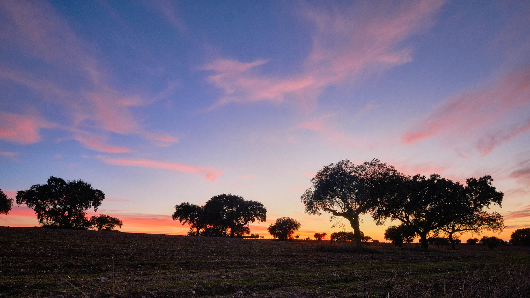 Extremadura