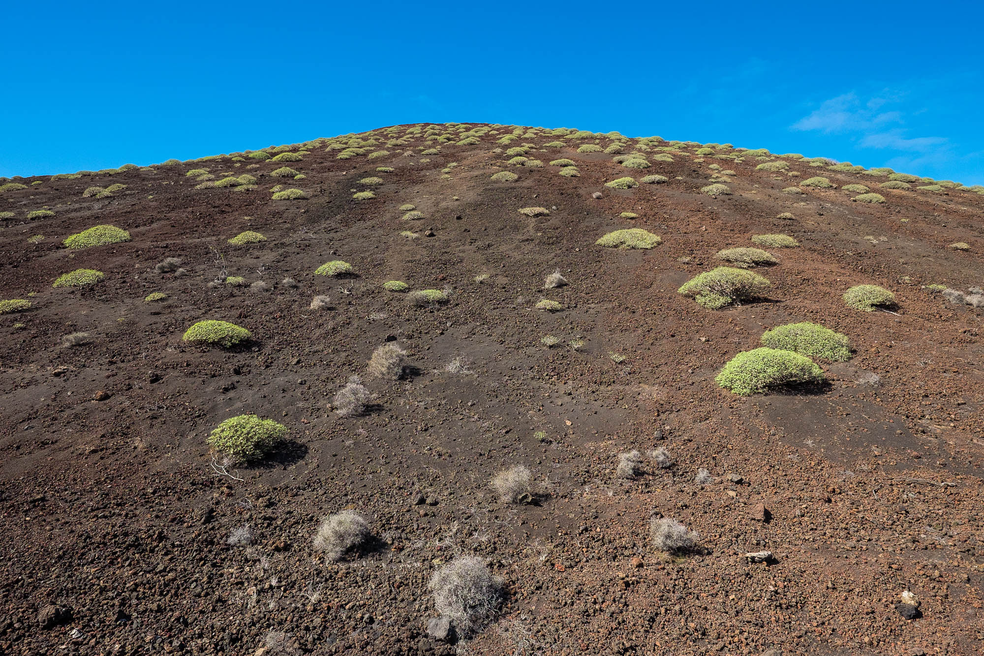 Spanien - Lanzarote / Spain - Lanzarote