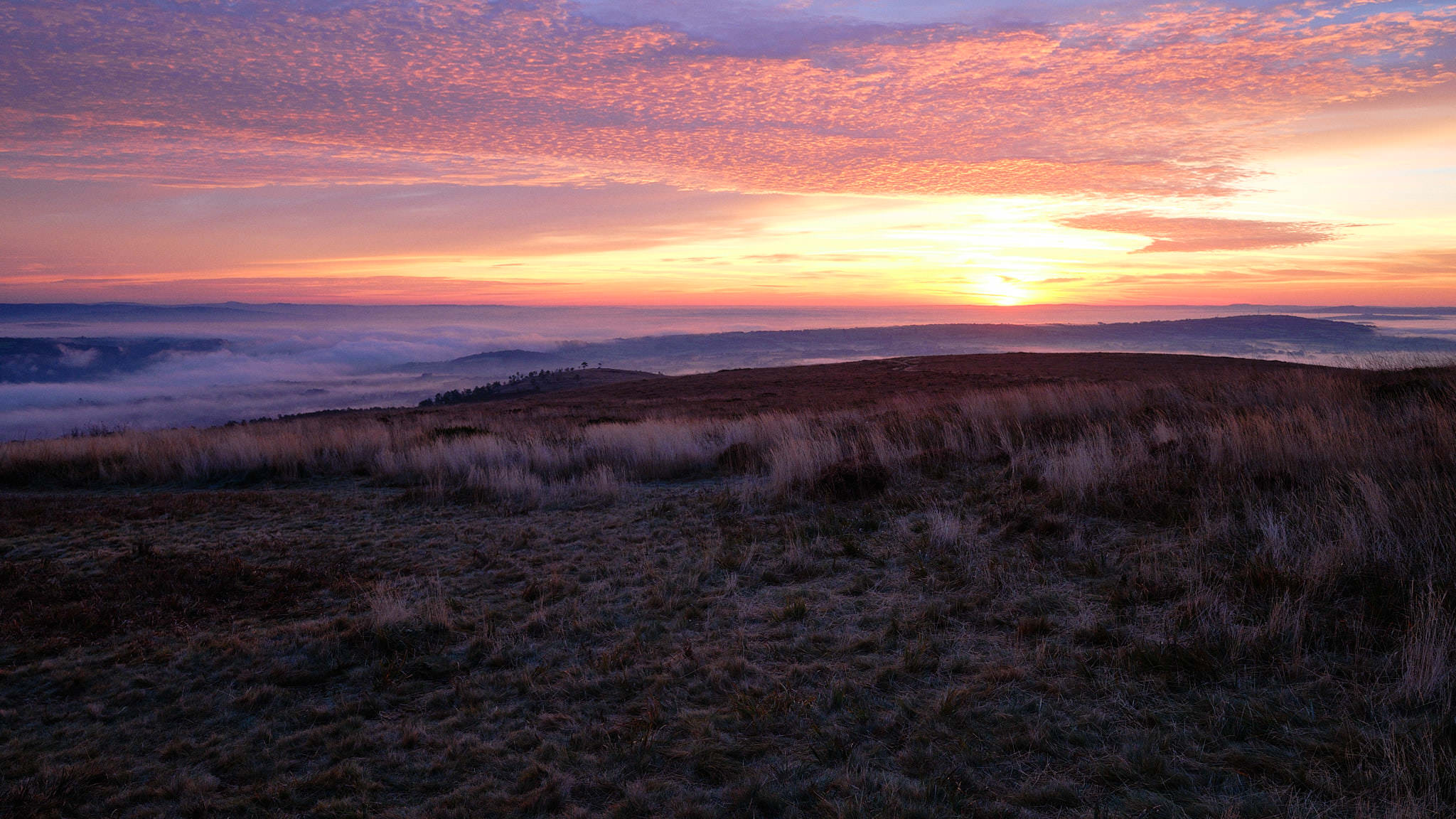 Bretagne 0365 XH11841