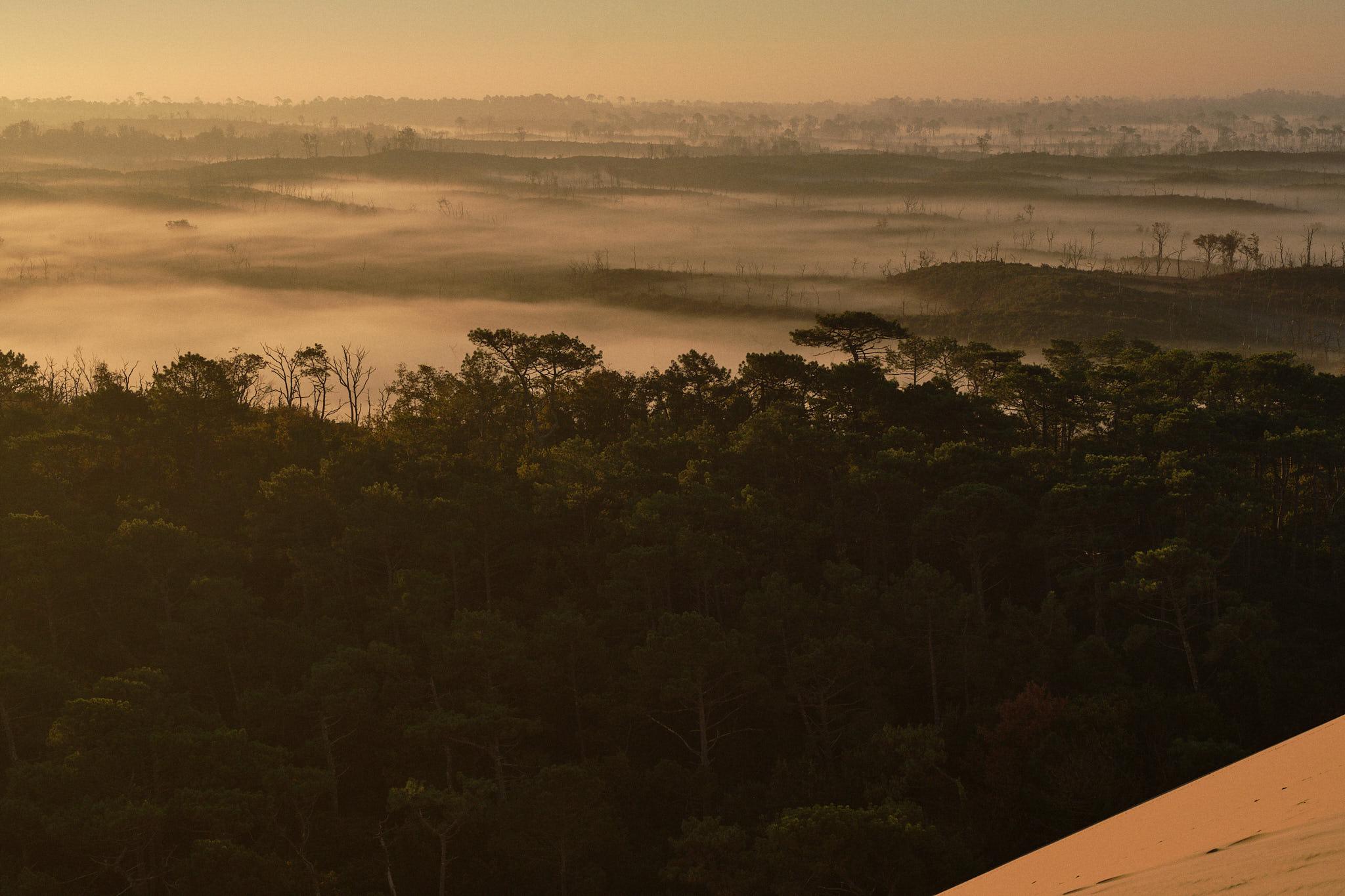 Dune Pilat 1061 XH12469