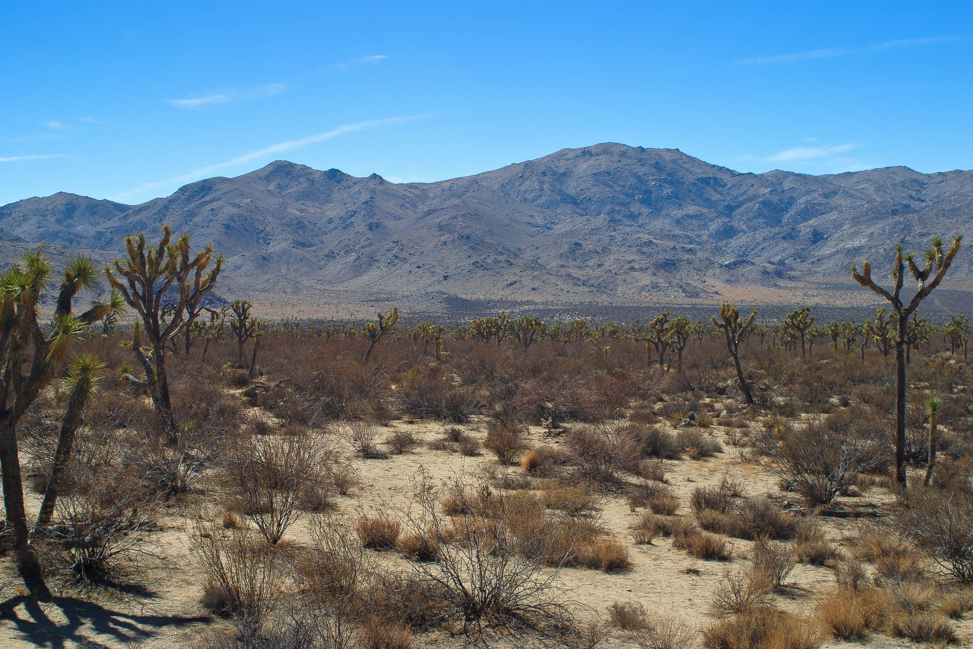 USA - Kalifornien / California