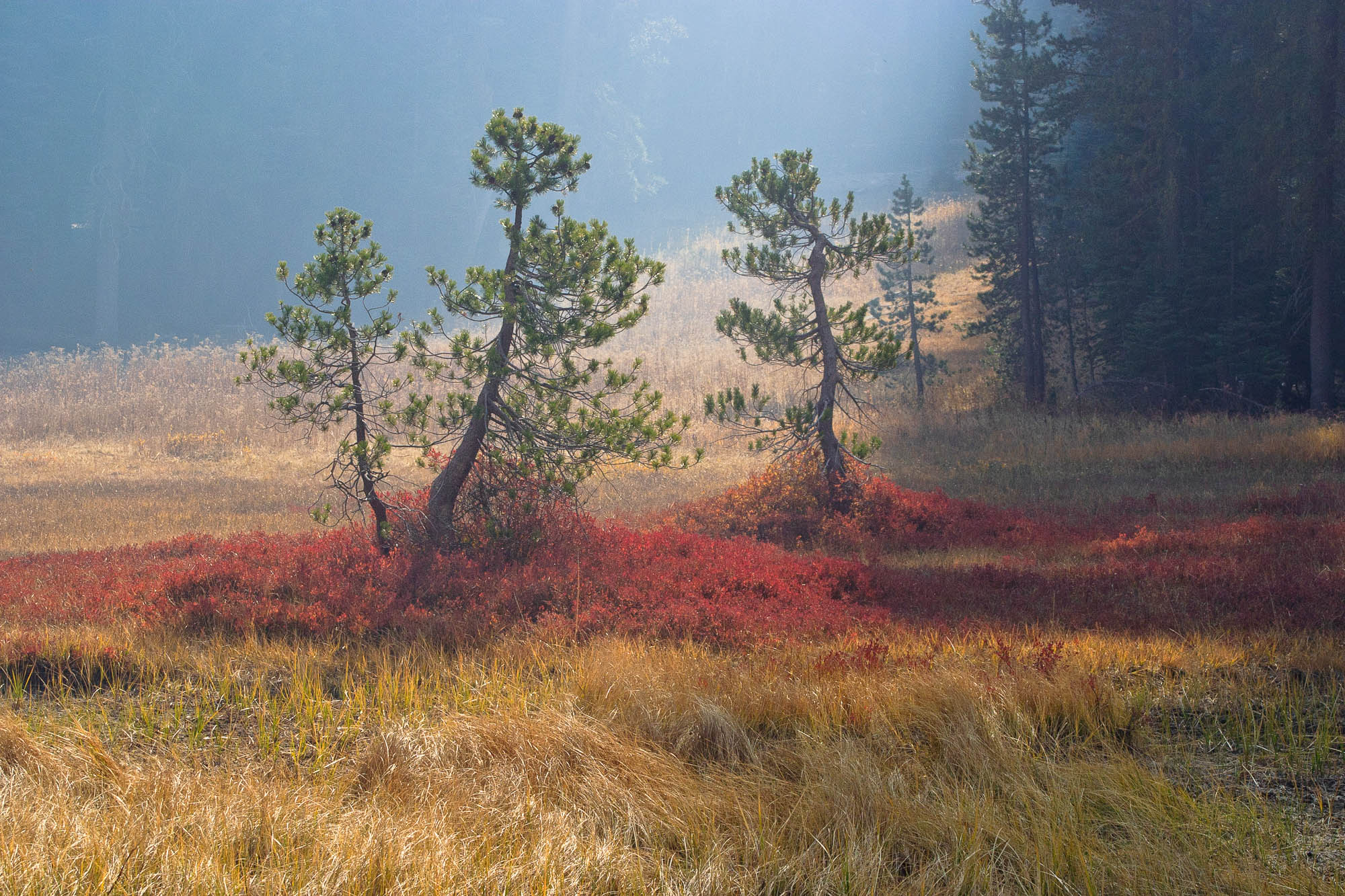 USA - Kalifornien / California