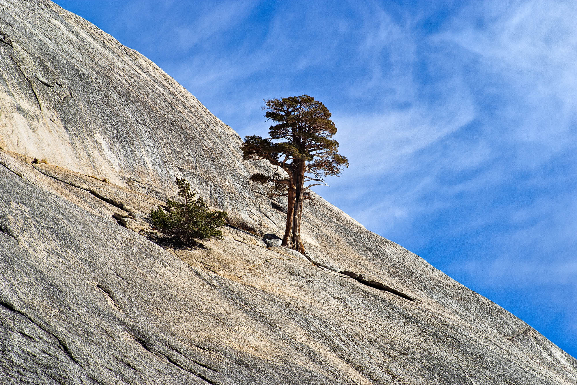 USA - Kalifornien / California