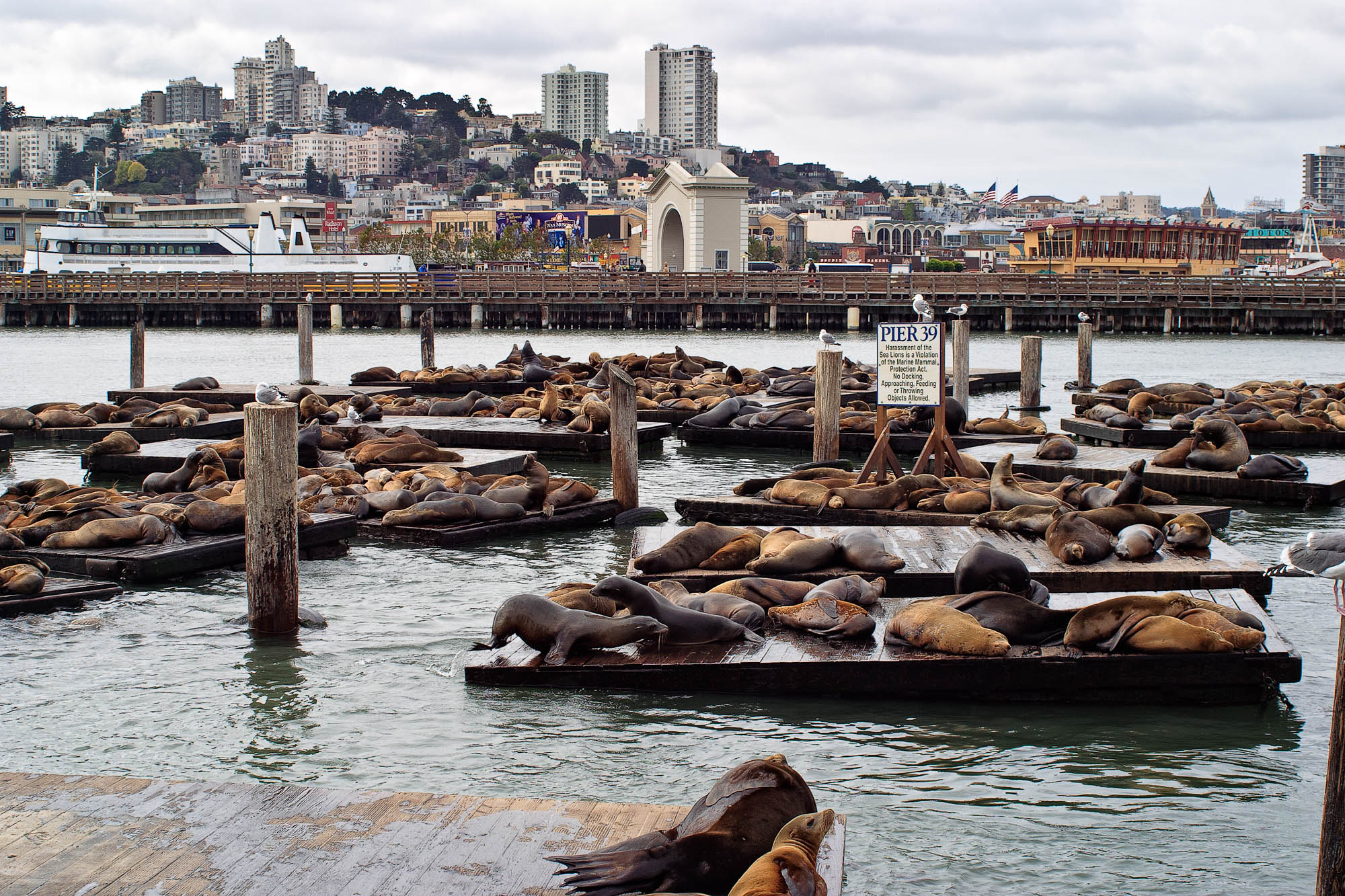 USA - Kalifornien / California