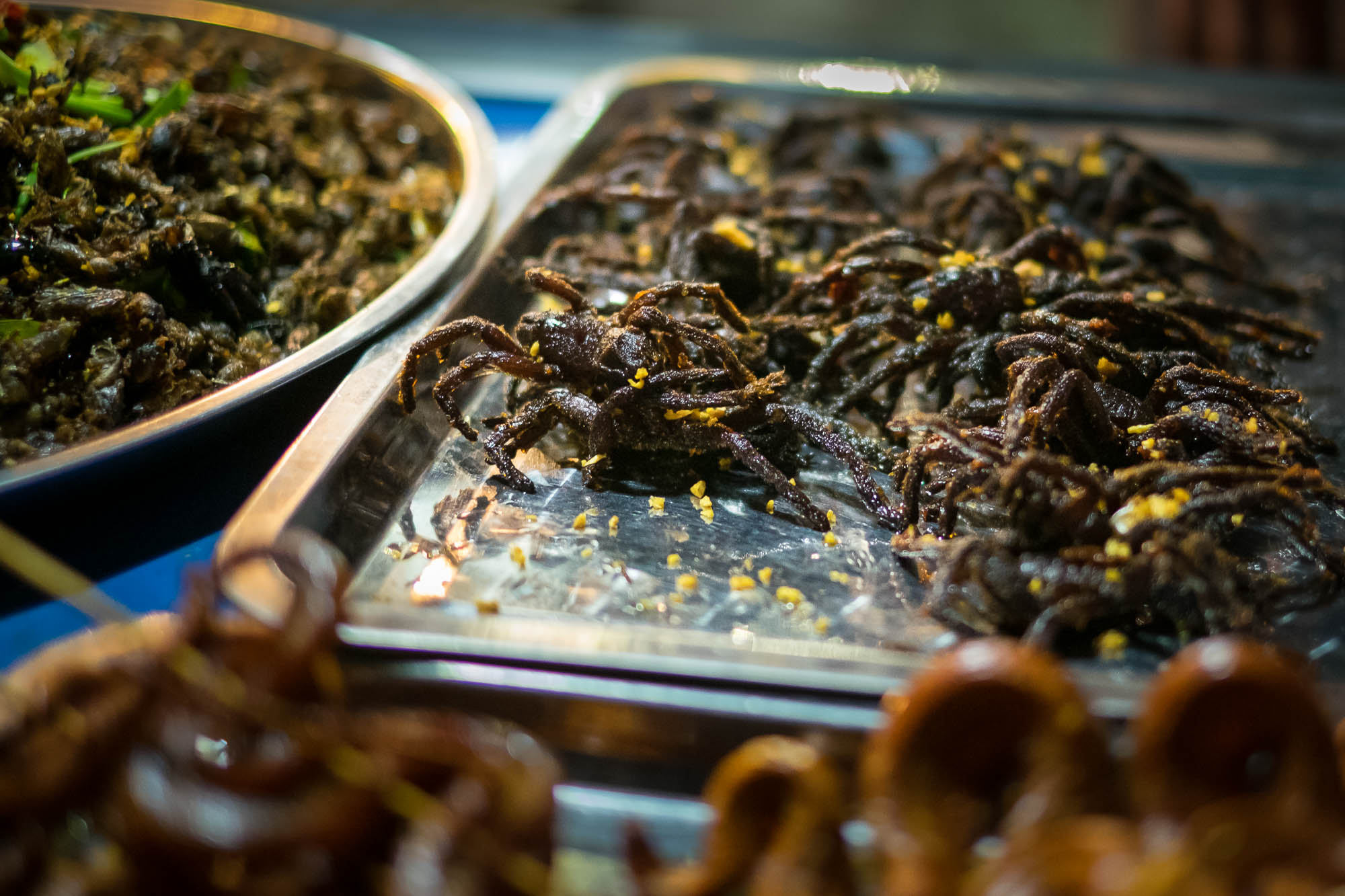 Kambodscha / Cambodia