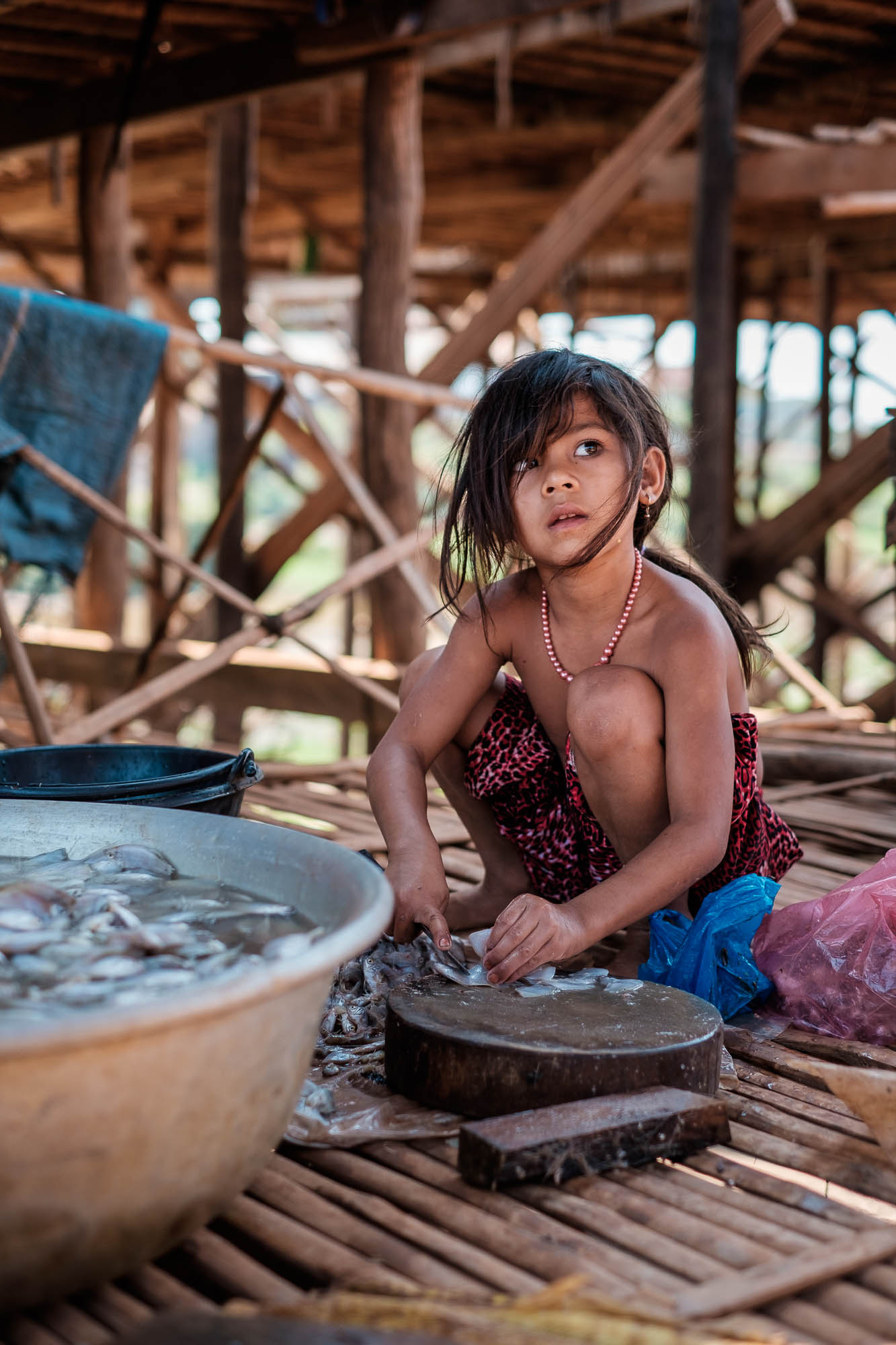 Kambodscha / Cambodia