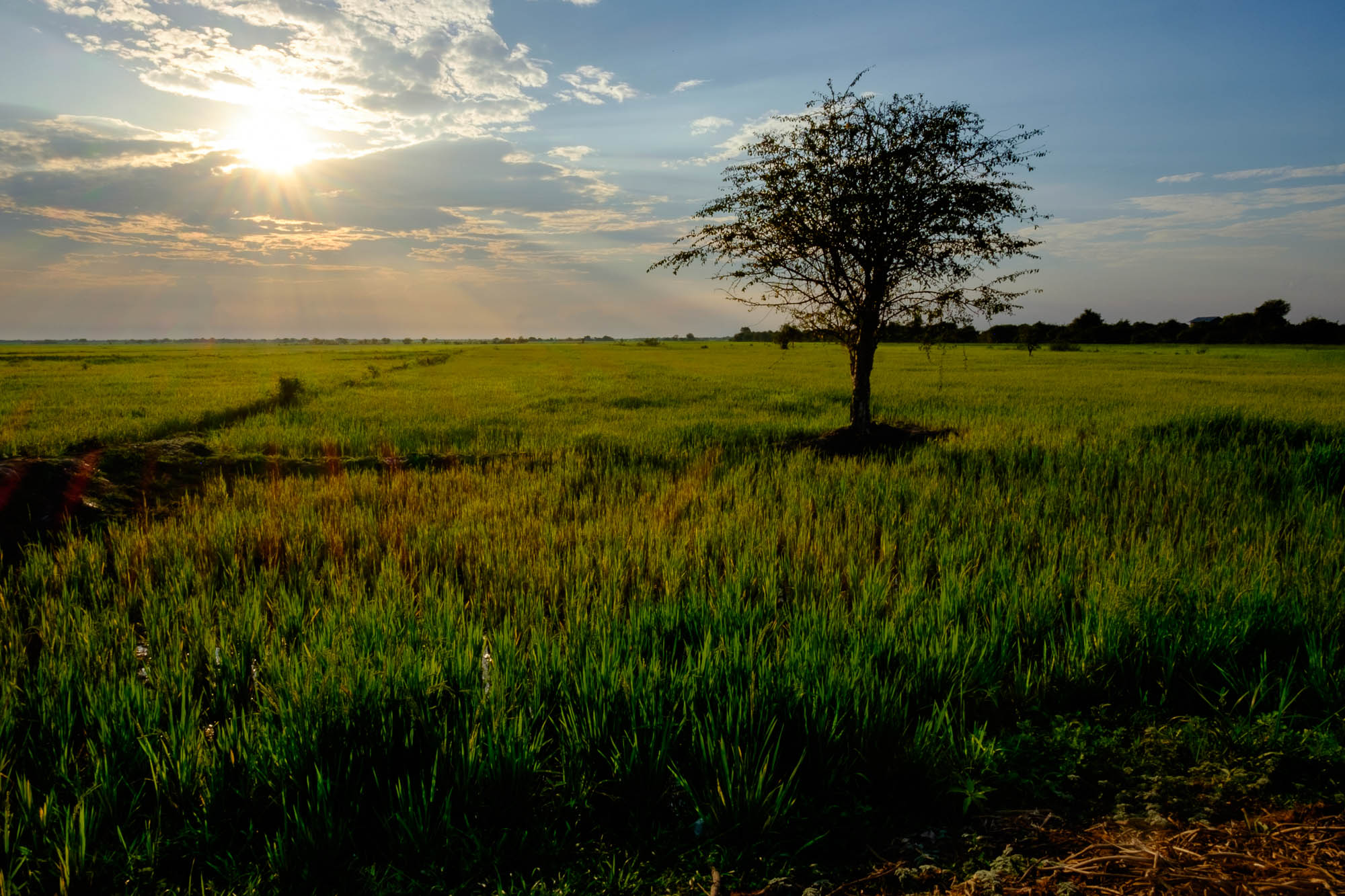 Kambodscha / Cambodia