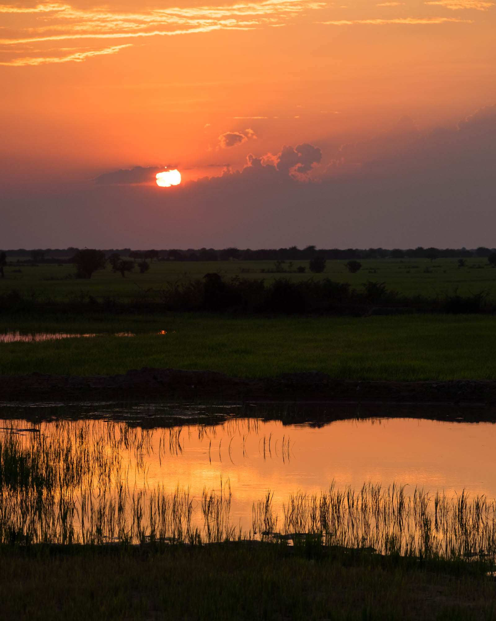 Kambodscha / Cambodia