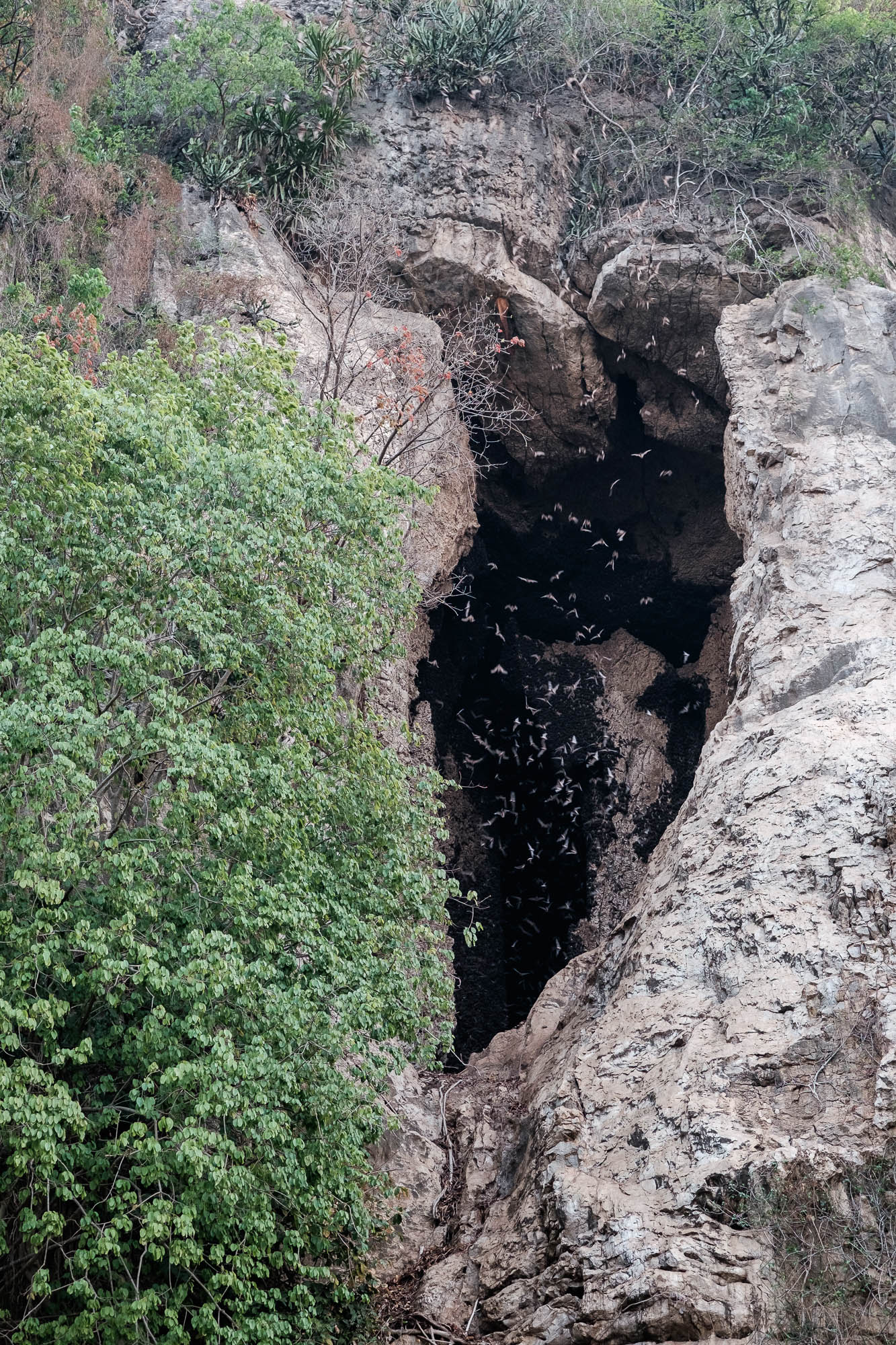 Kambodscha / Cambodia