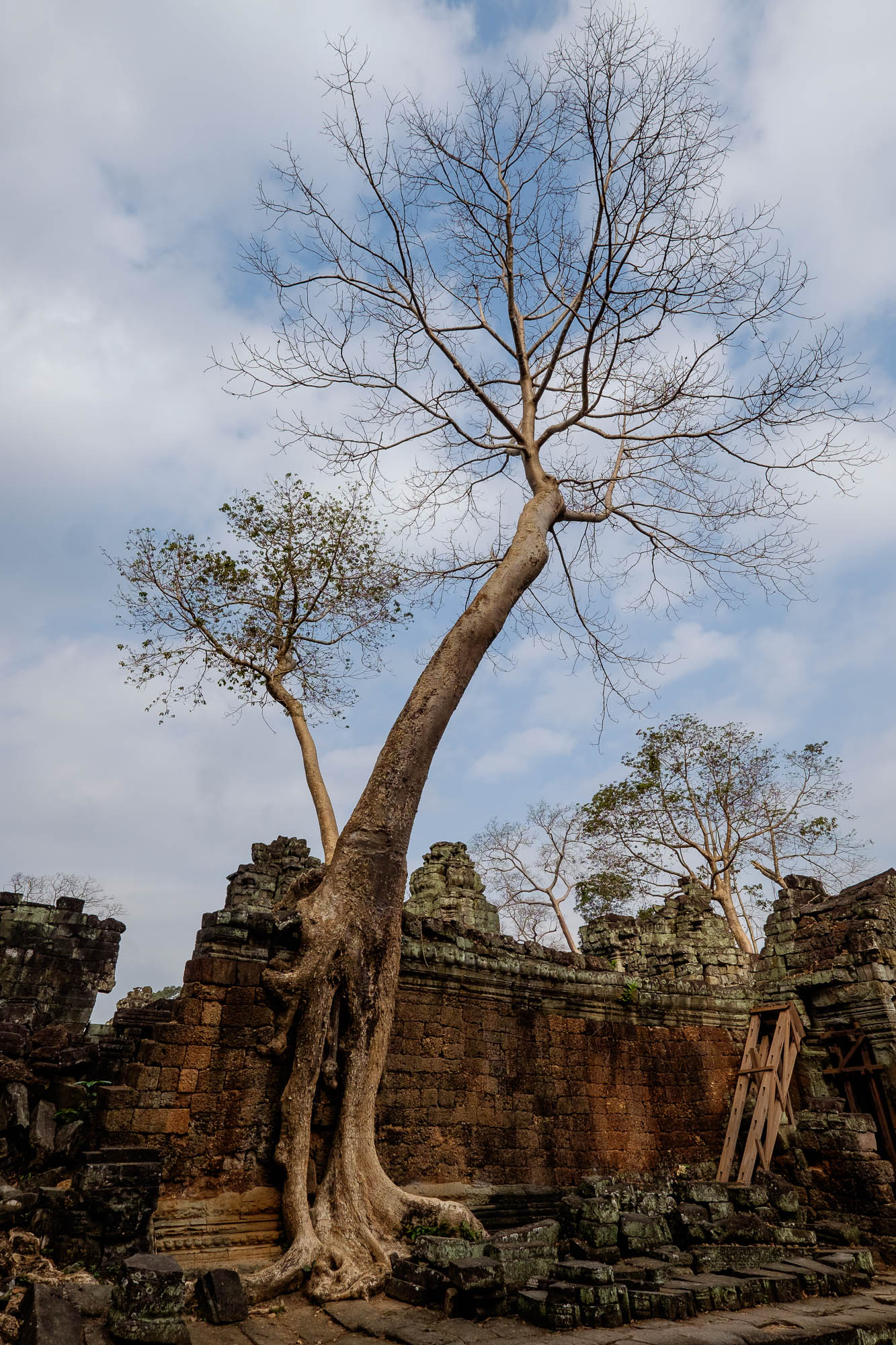 Kambodscha / Cambodia