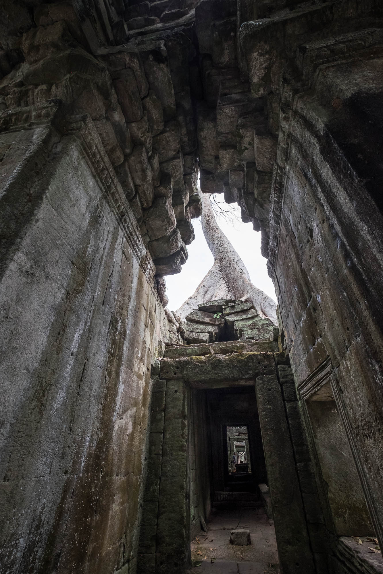 Kambodscha / Cambodia