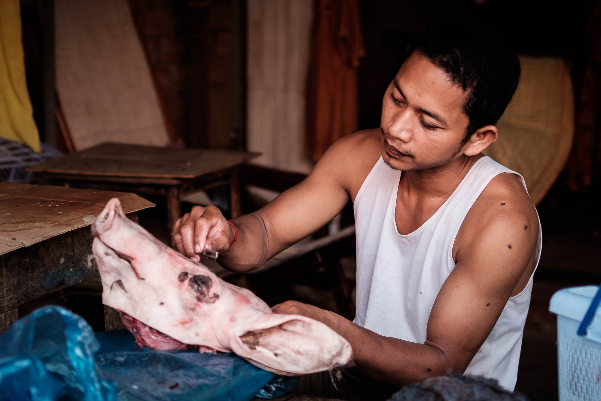 Kambodscha / Cambodia