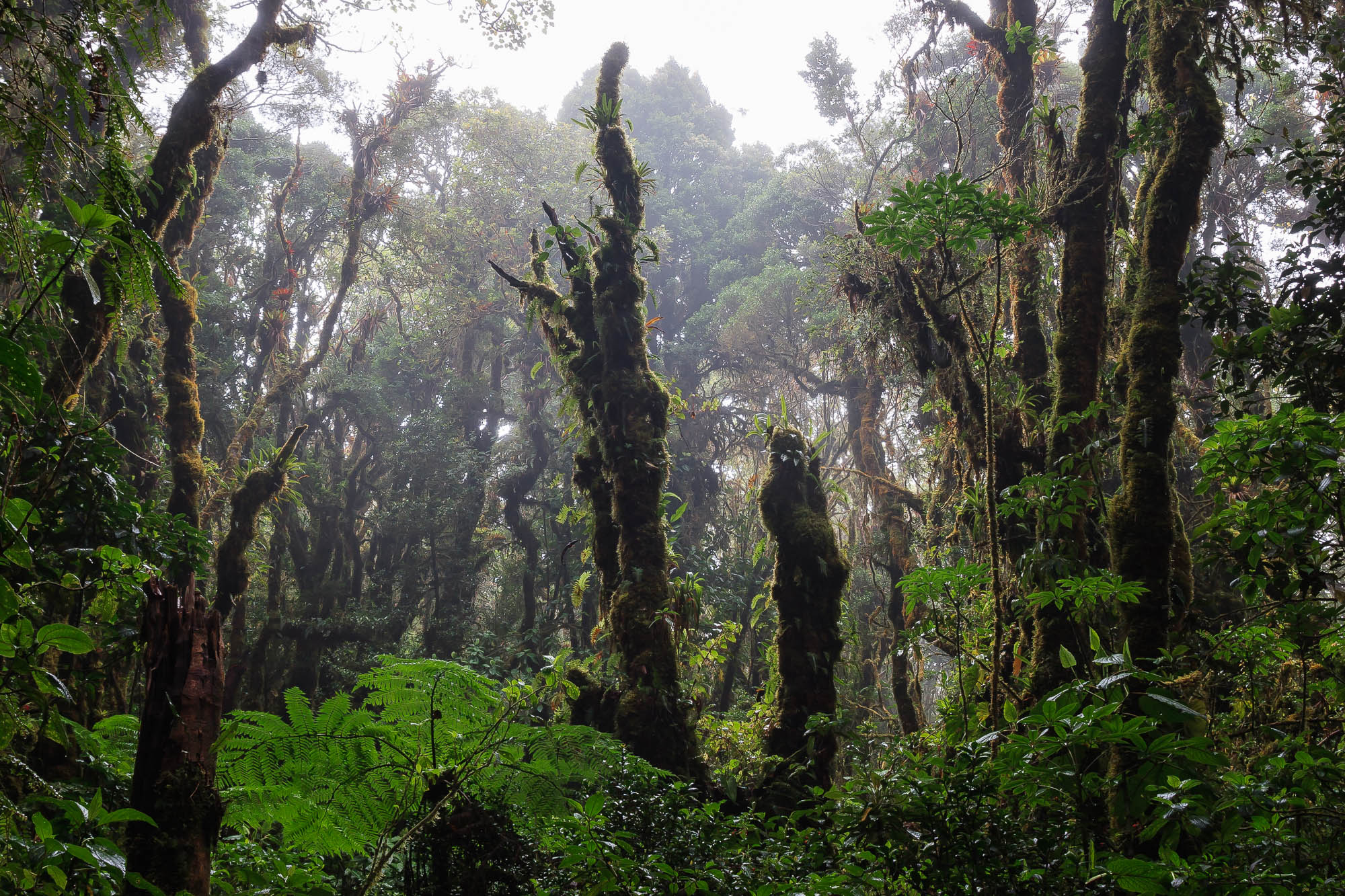 Costa Rica